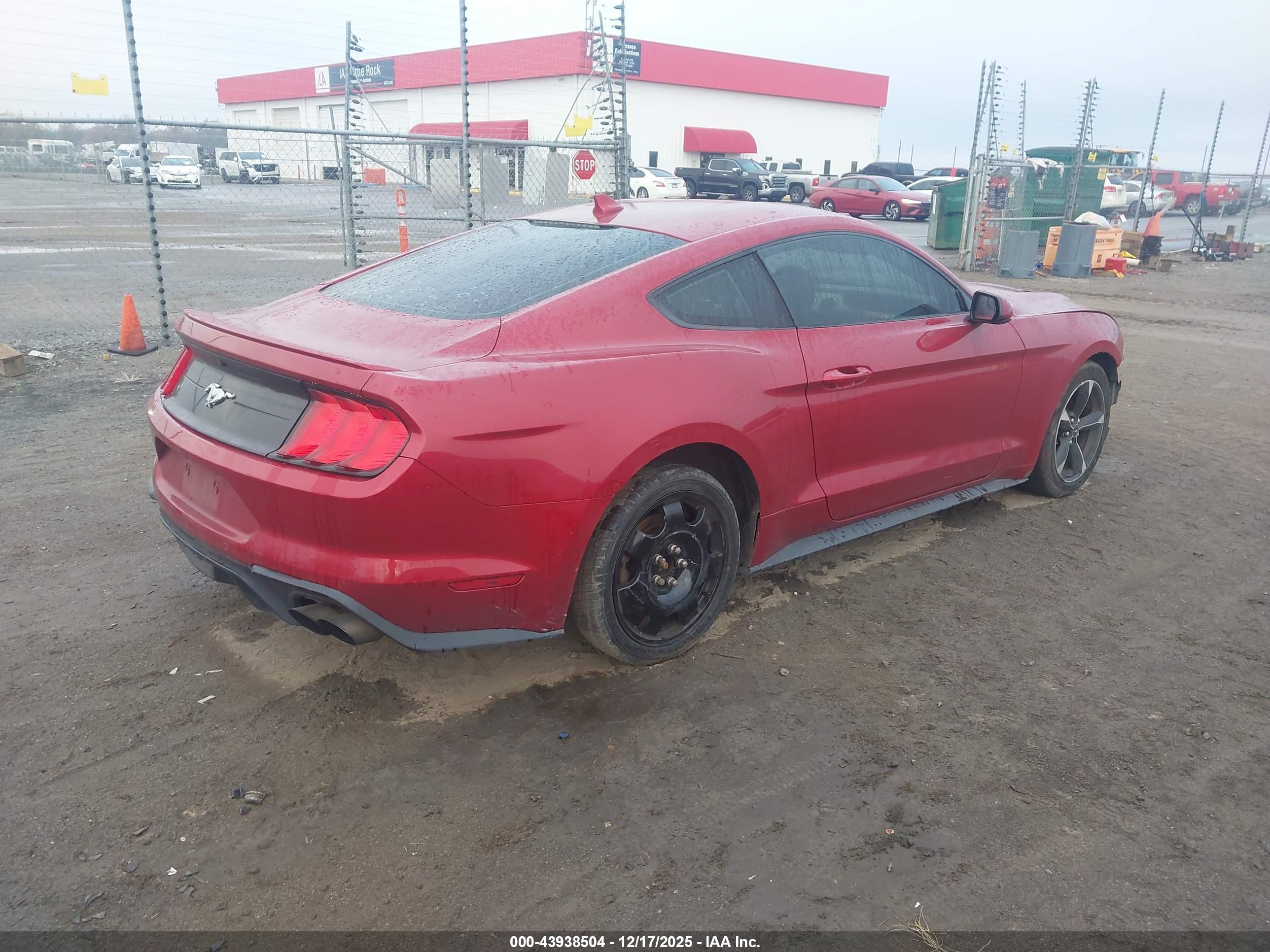 FORD MUSTANG image 4
