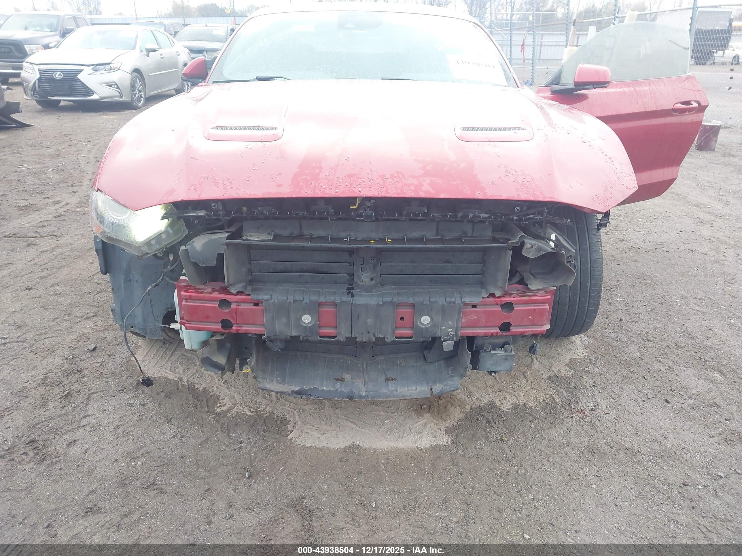 FORD MUSTANG image 6