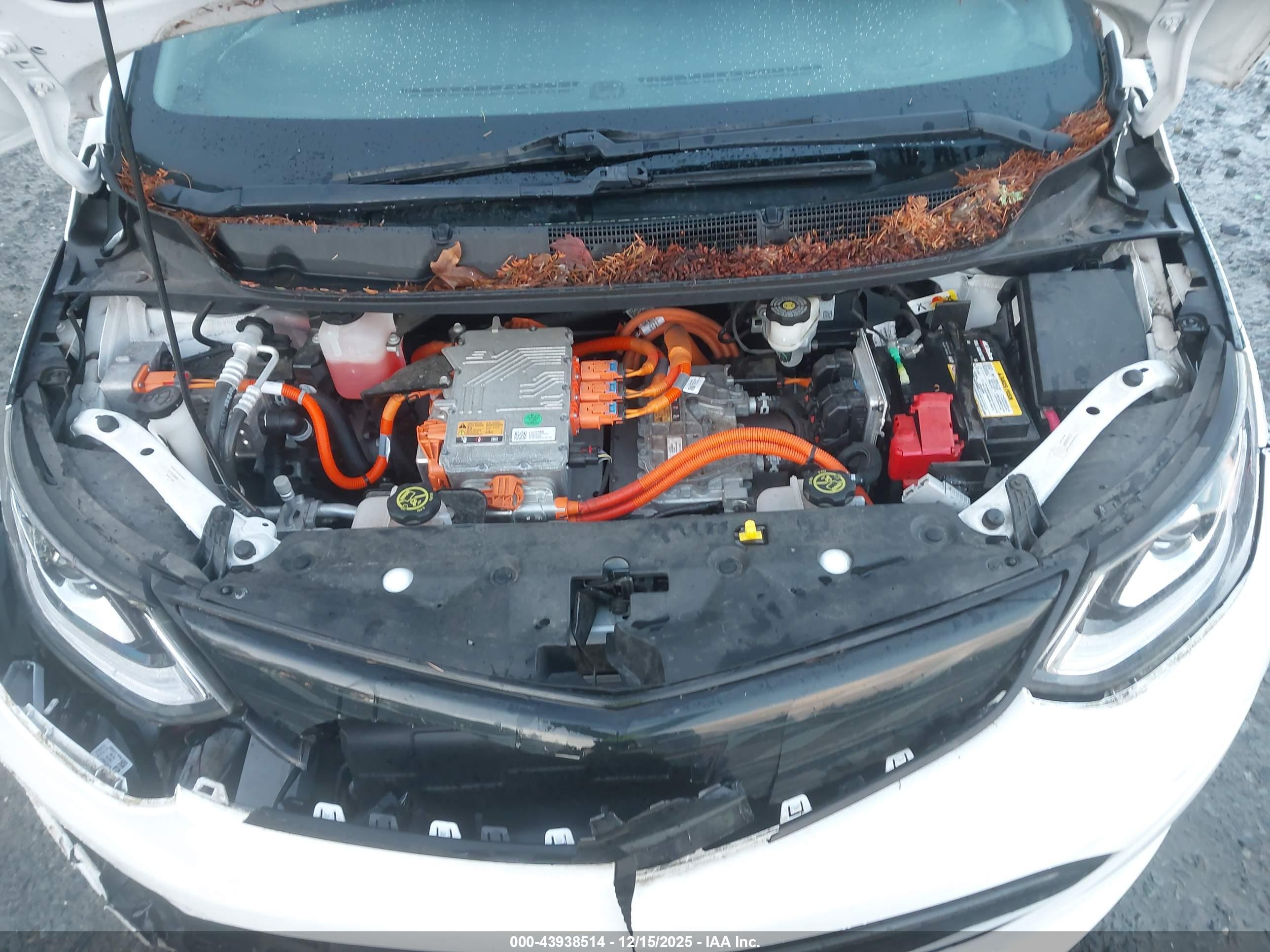 CHEVROLET BOLT image 10