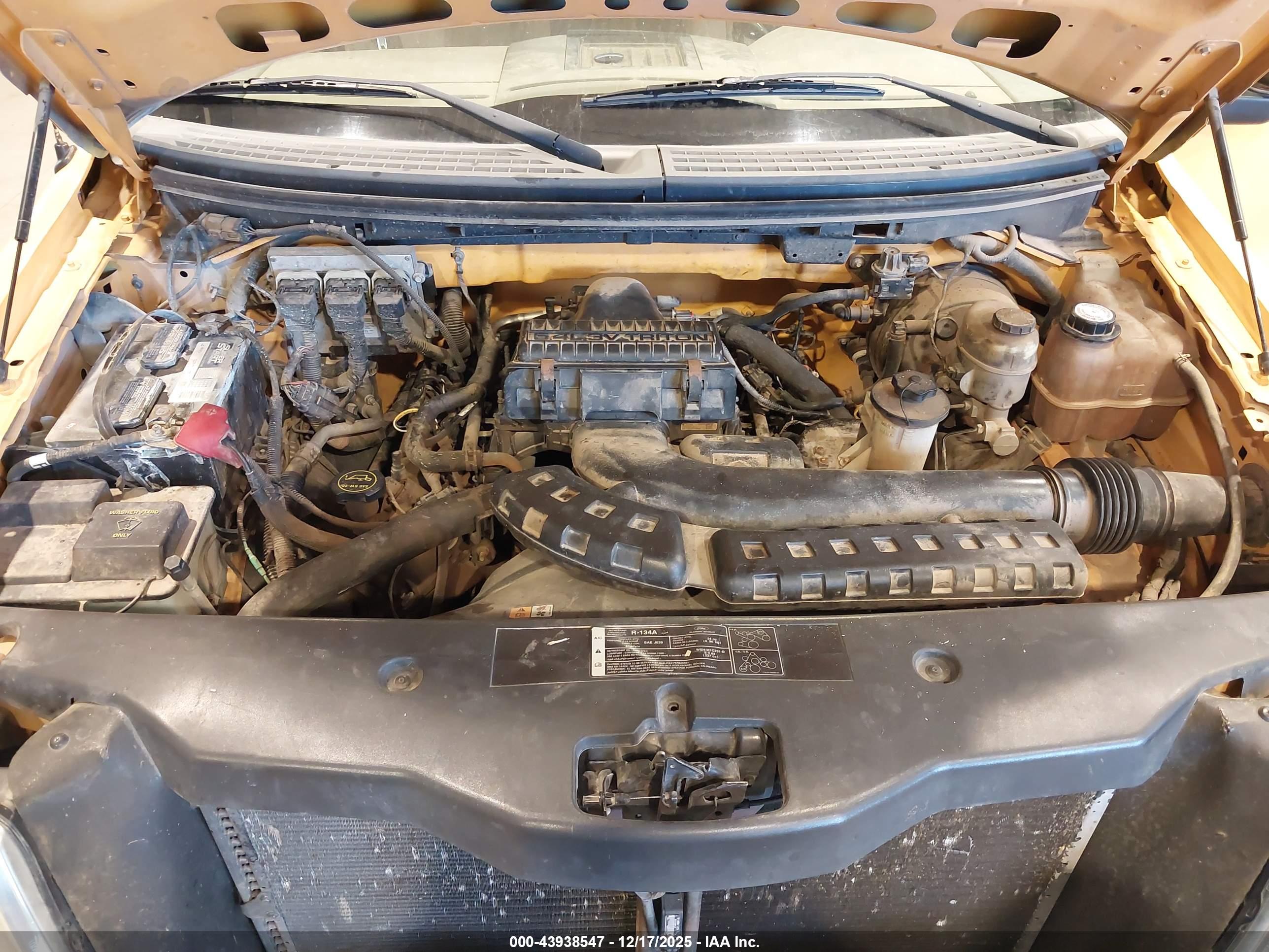 FORD F-150 image 10