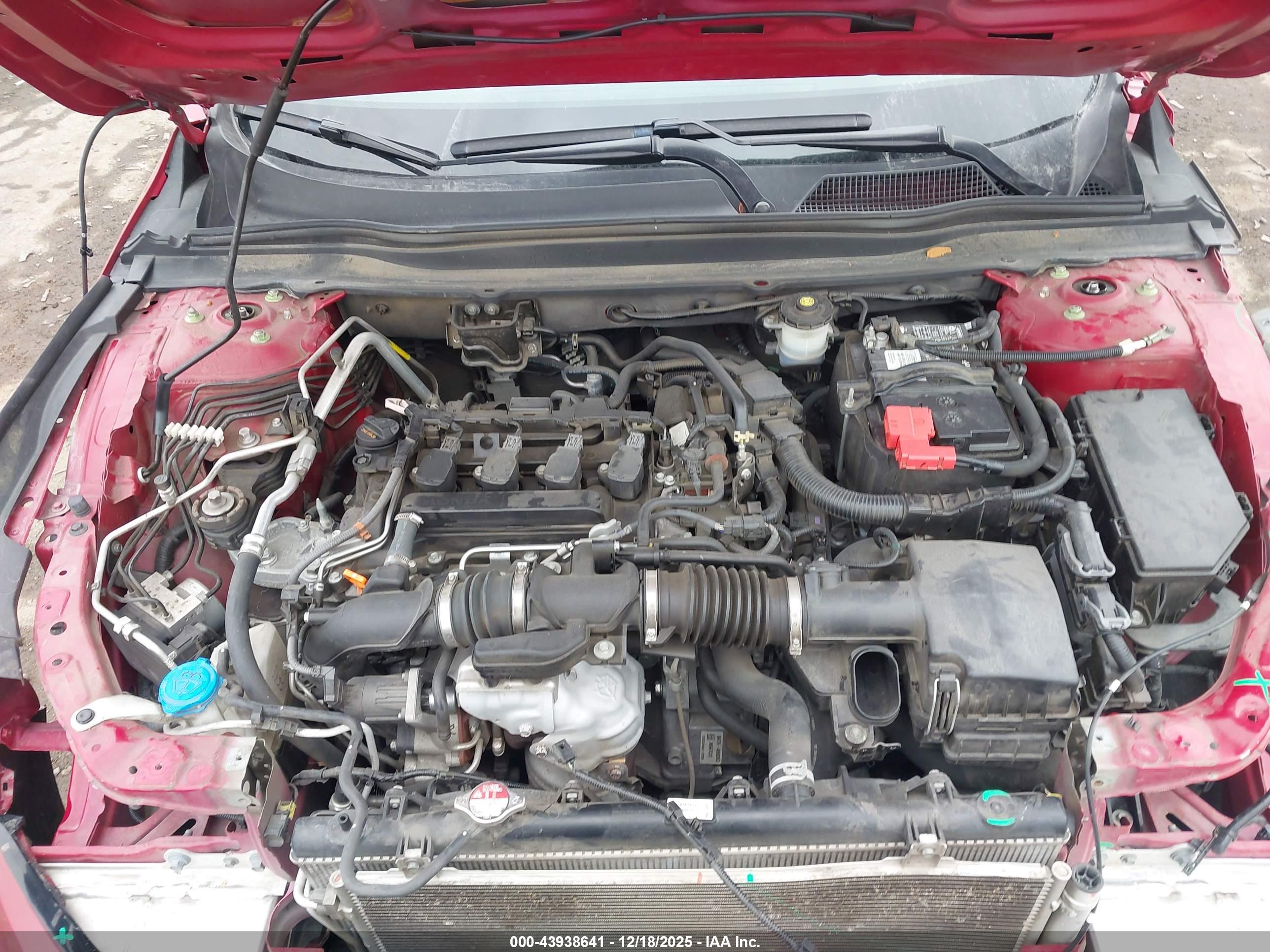 HONDA ACCORD image 10