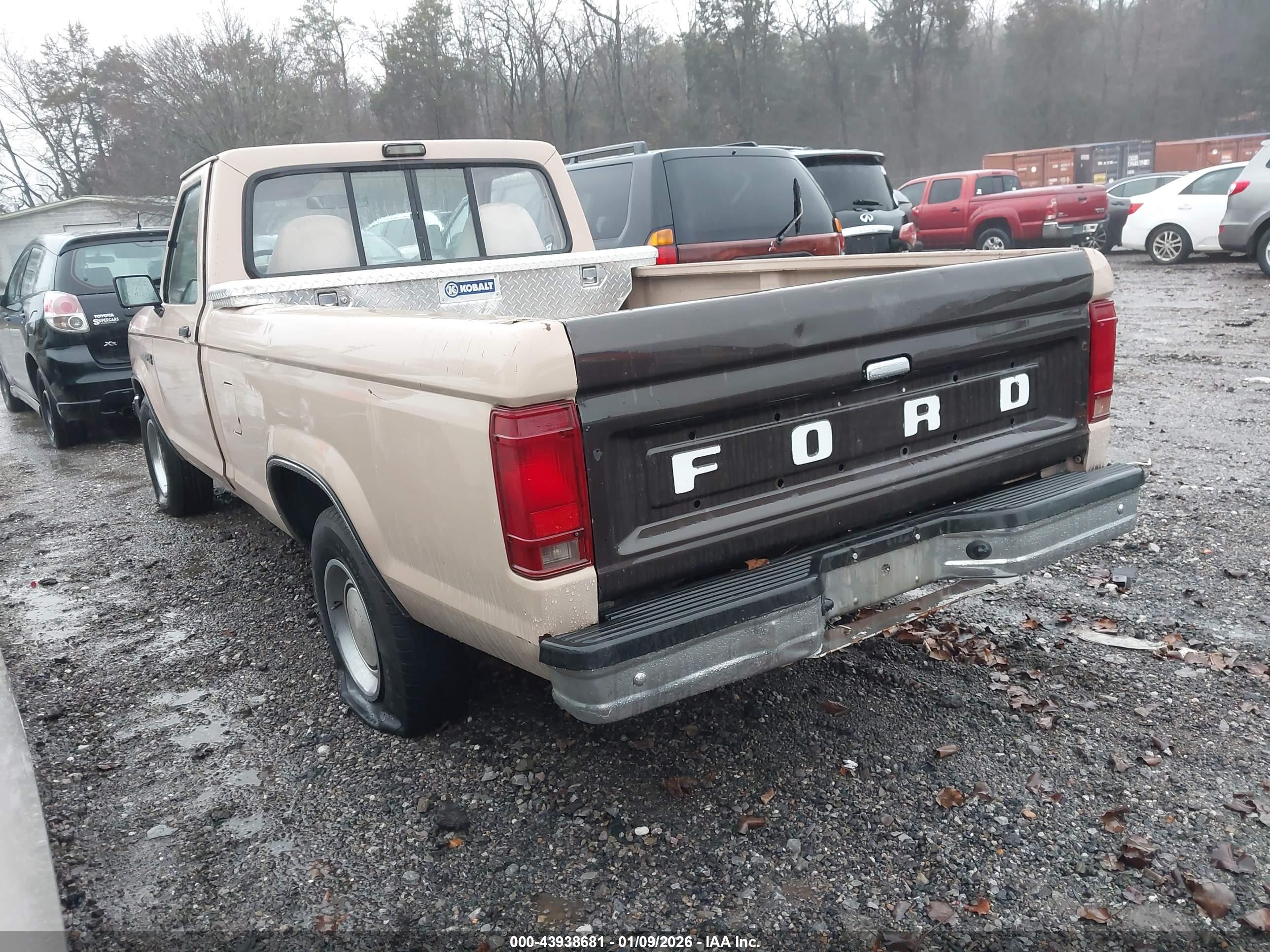 FORD RANGER image 3