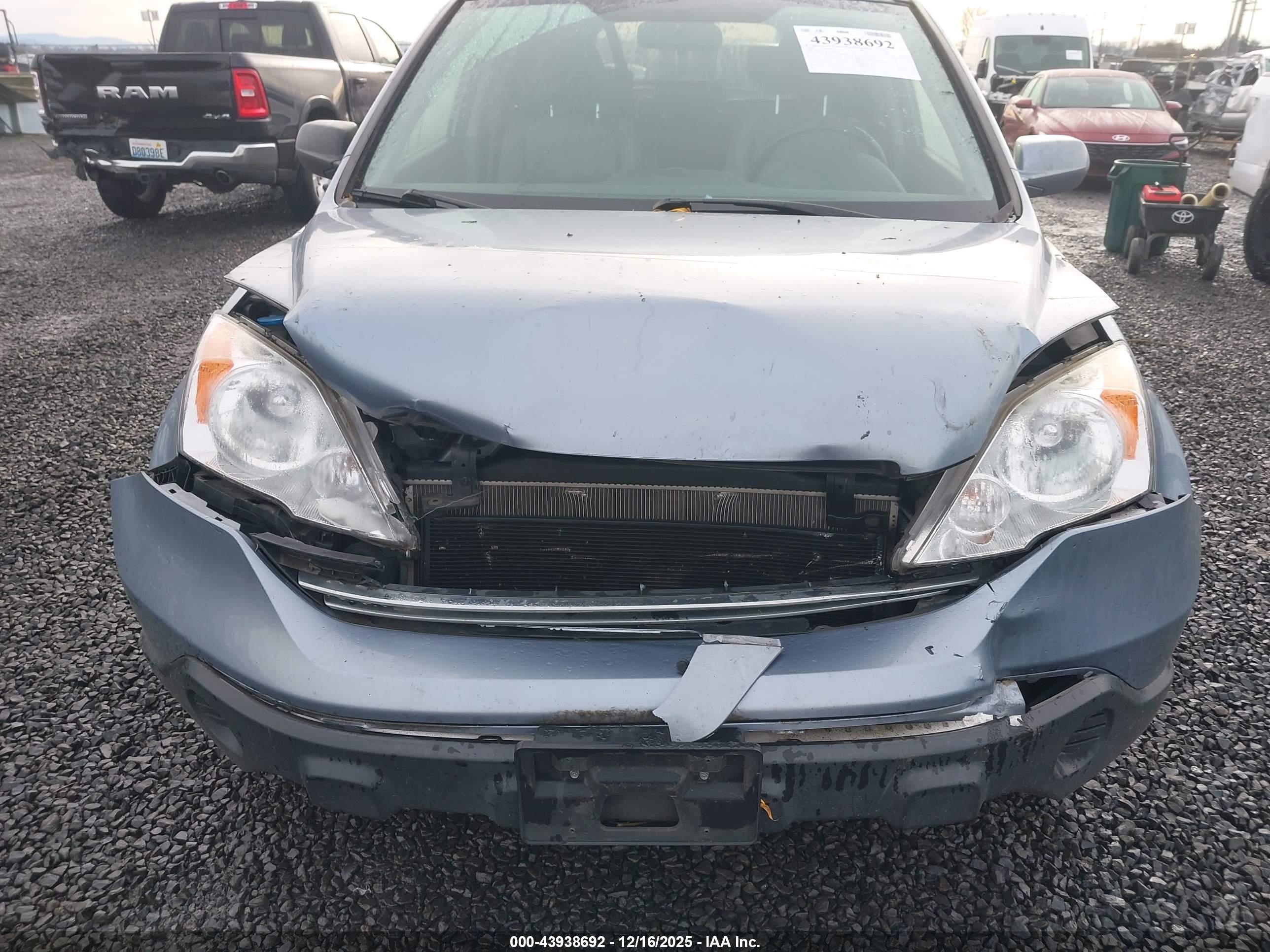 HONDA CR-V image 6