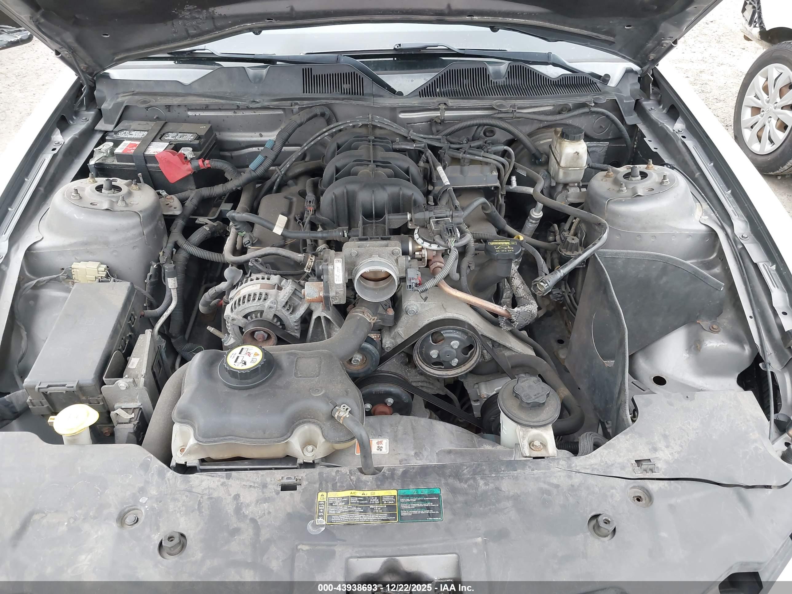 FORD MUSTANG image 10