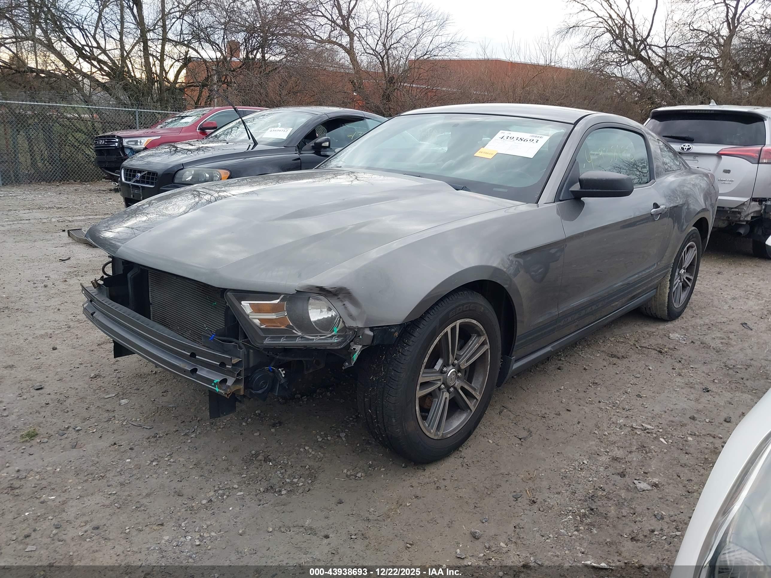 FORD MUSTANG image 2