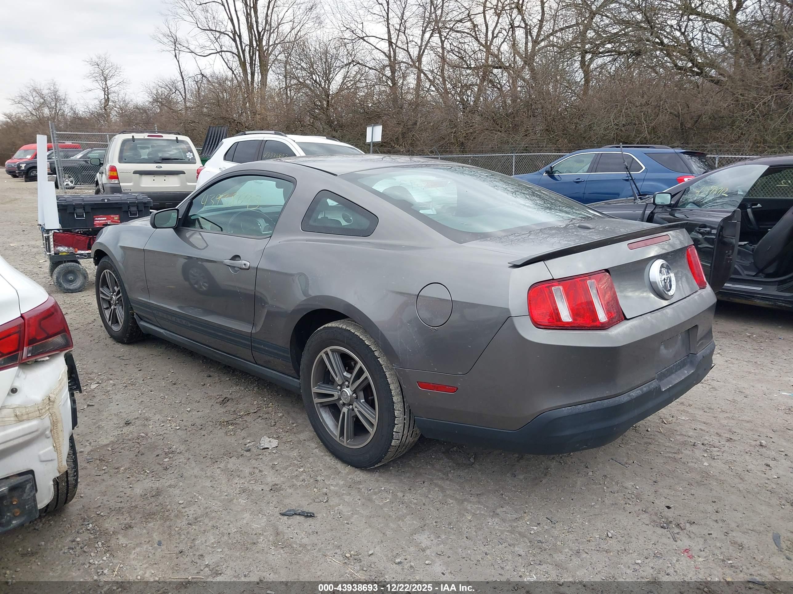 FORD MUSTANG image 3