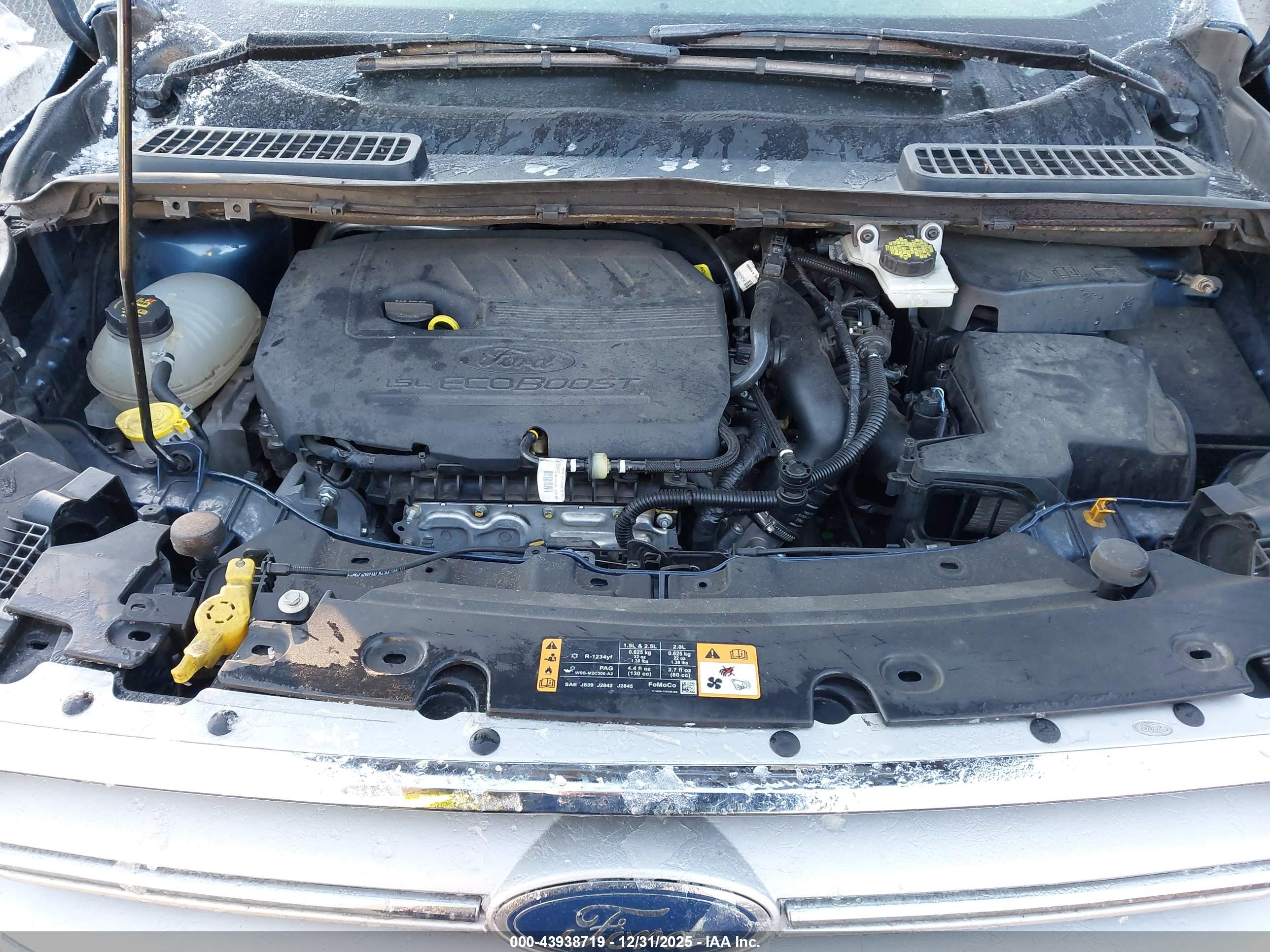 FORD ESCAPE image 10