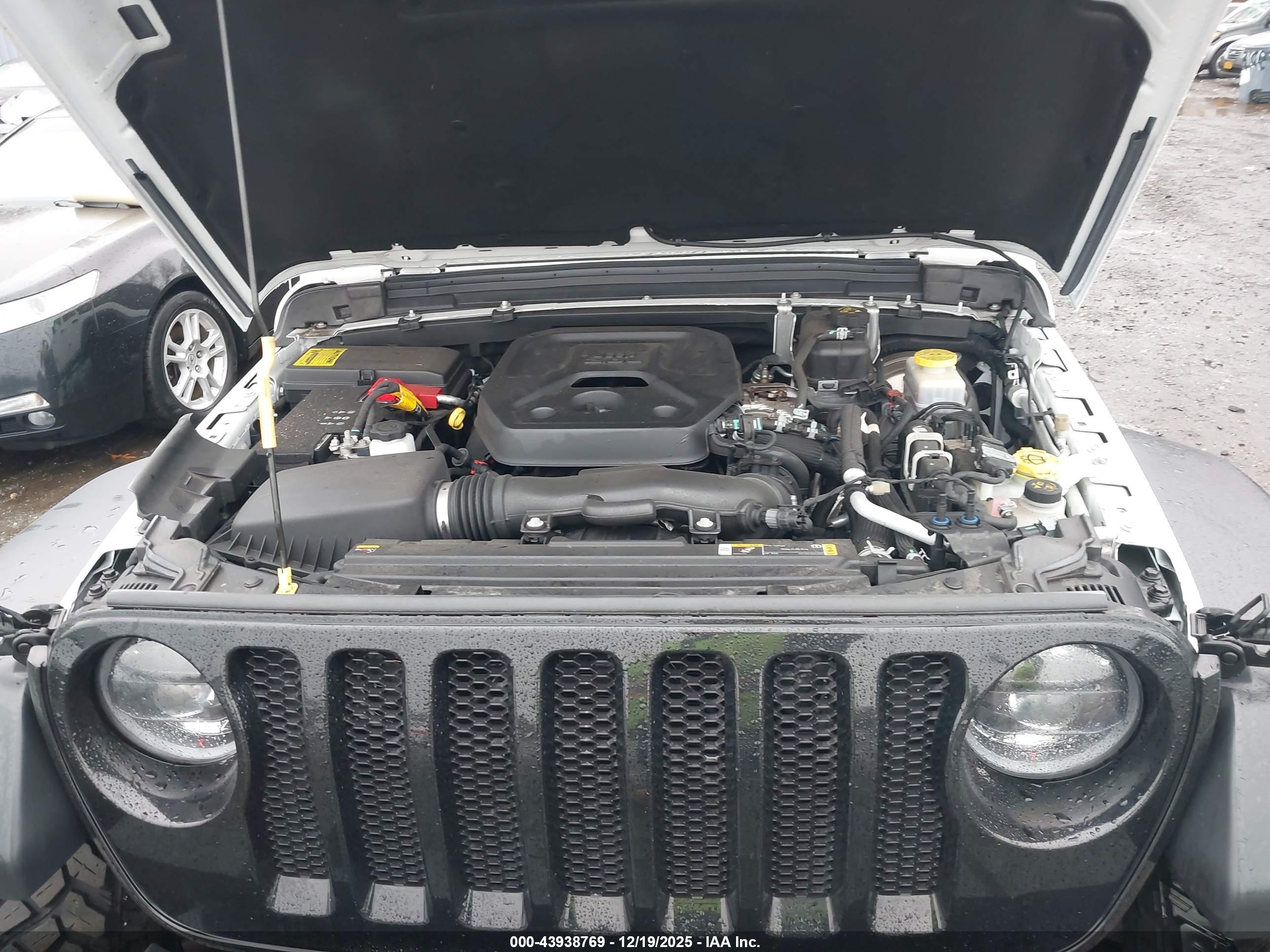JEEP WRANGLER image 10