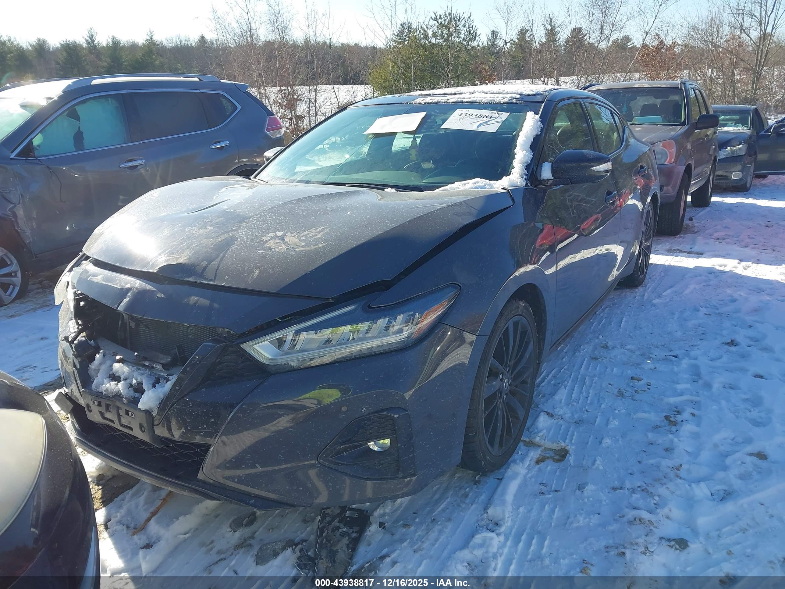 NISSAN MAXIMA image 2