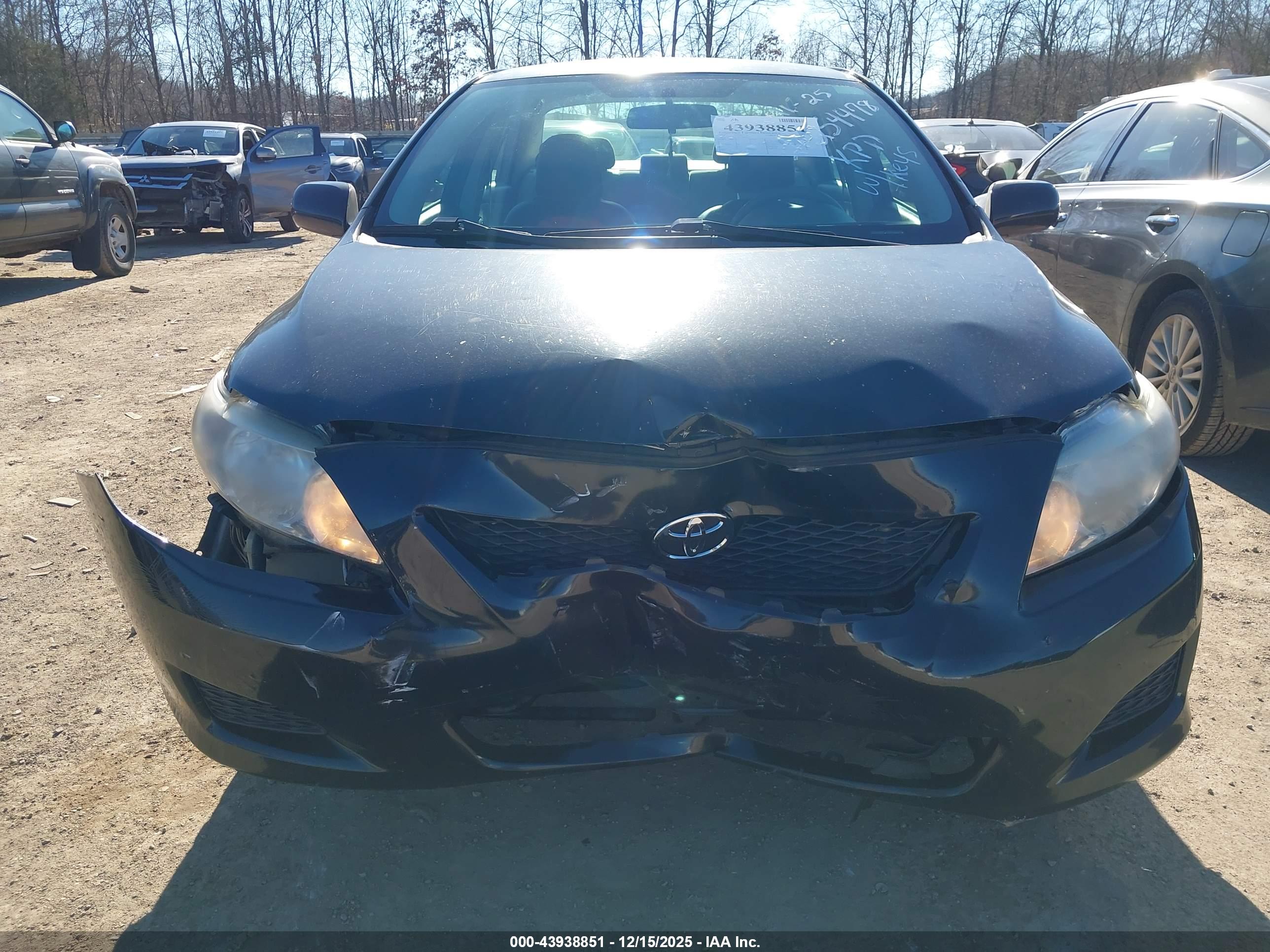 TOYOTA COROLLA image 6
