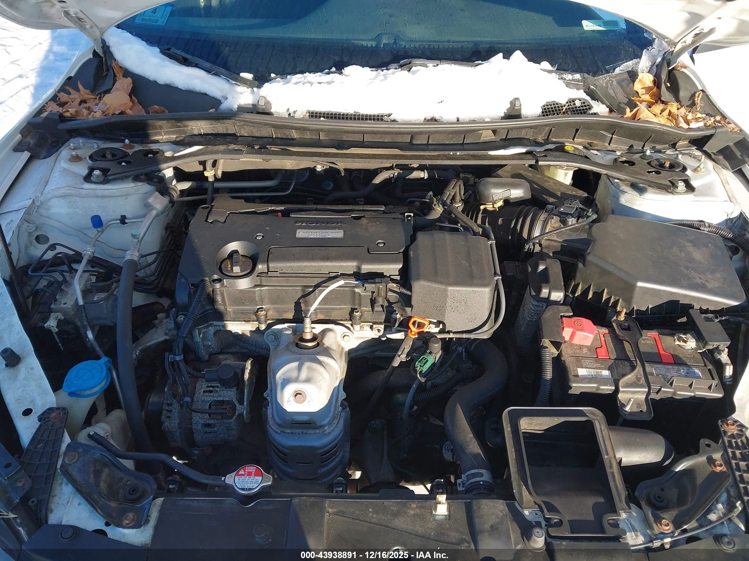 HONDA ACCORD image 10