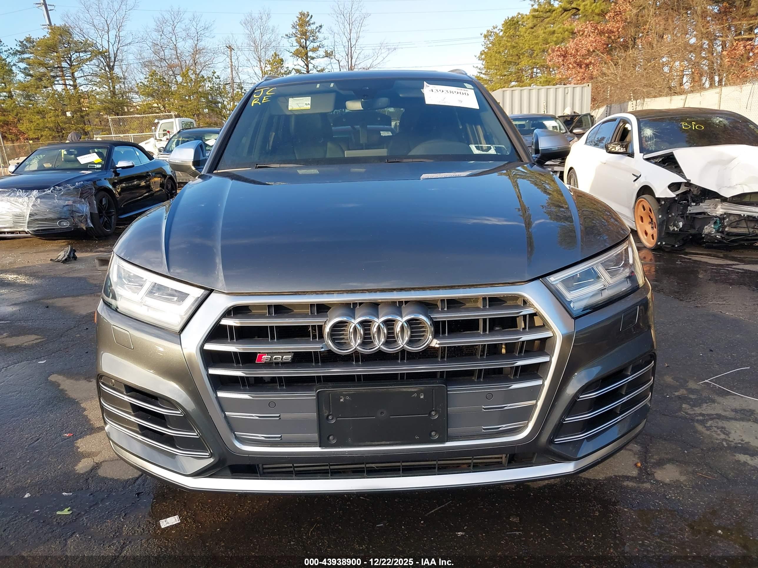 AUDI SQ5 image 6