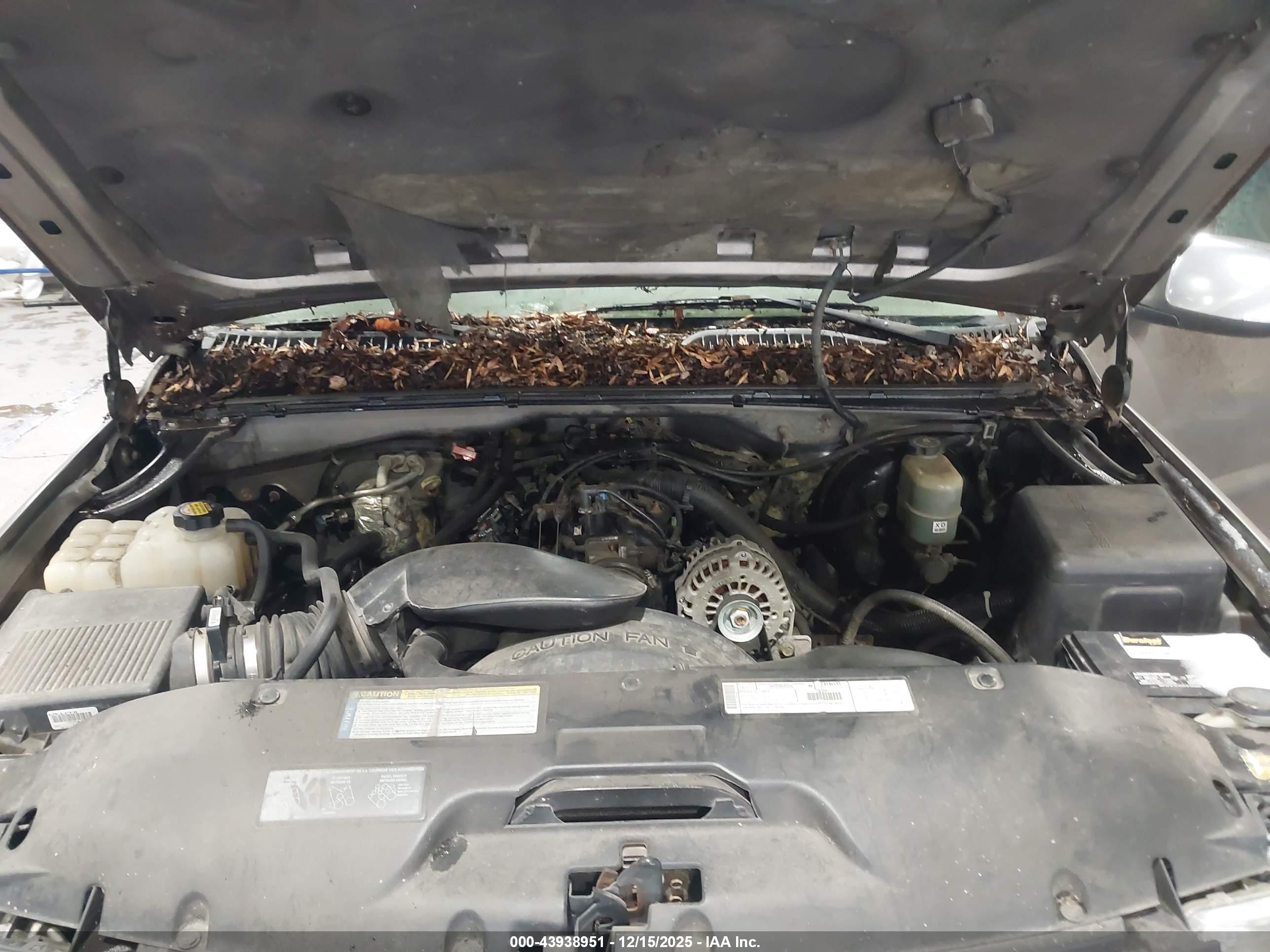 CHEVROLET SILVERADO image 10