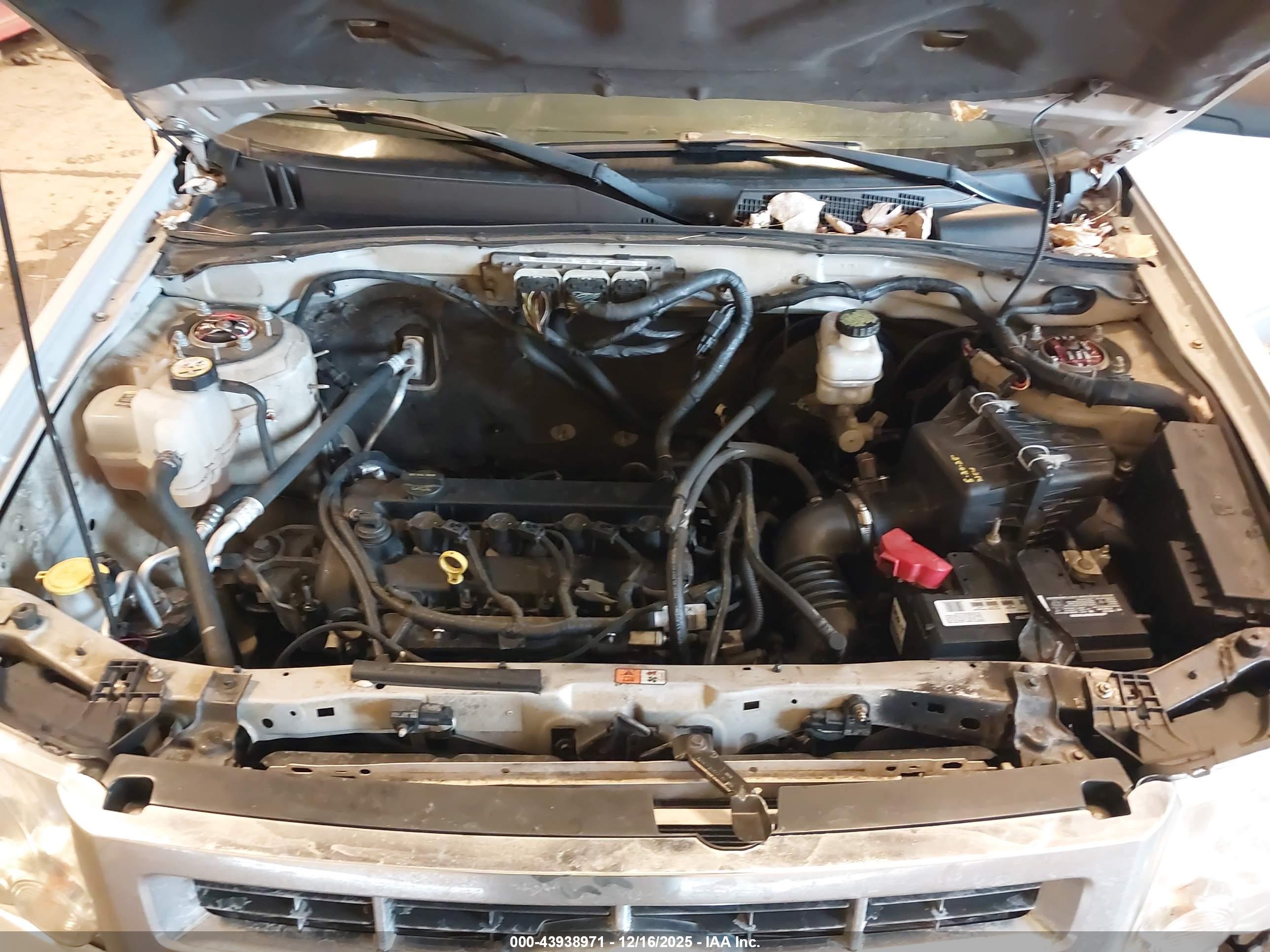 FORD ESCAPE image 10