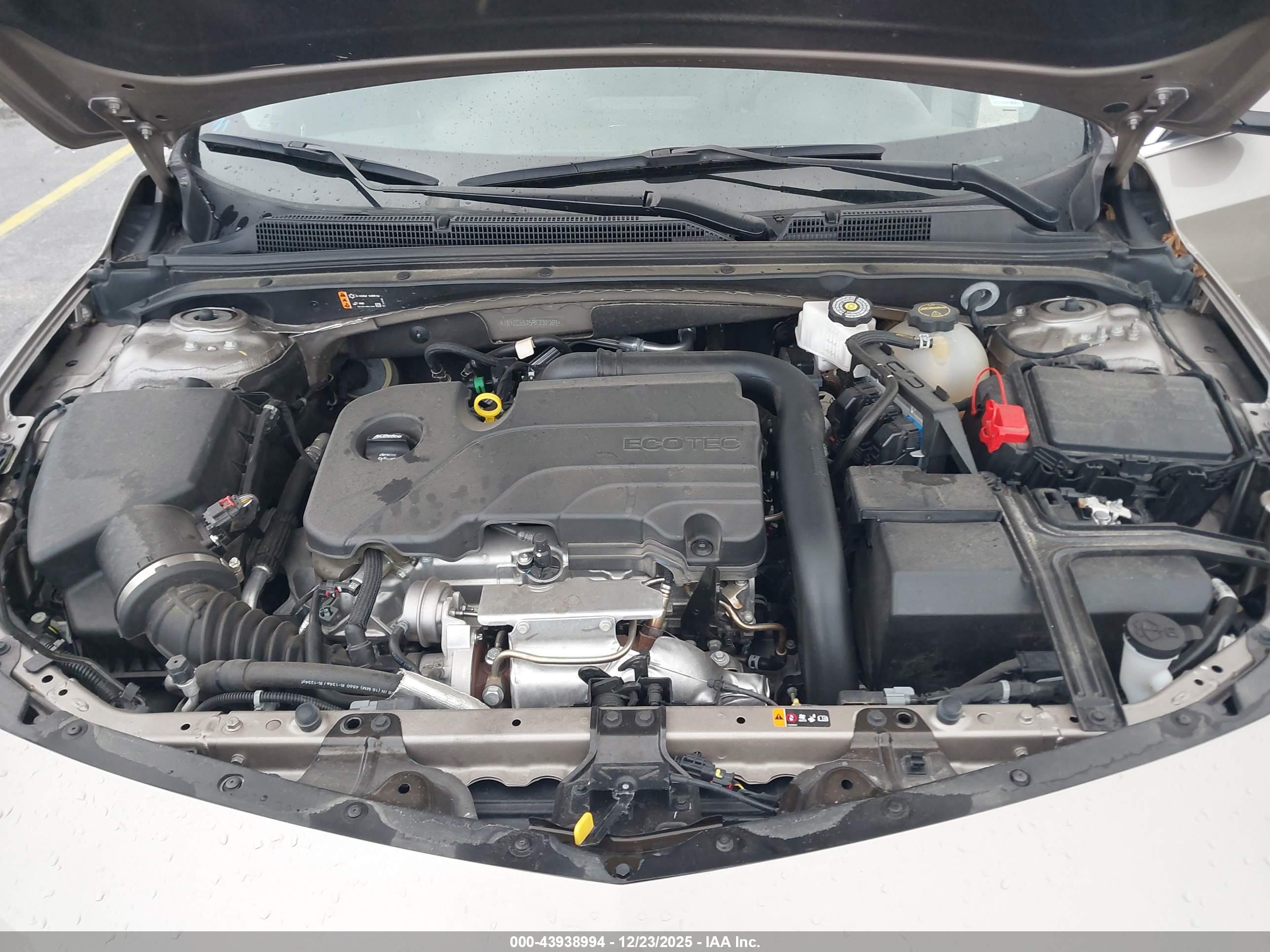CHEVROLET MALIBU image 10