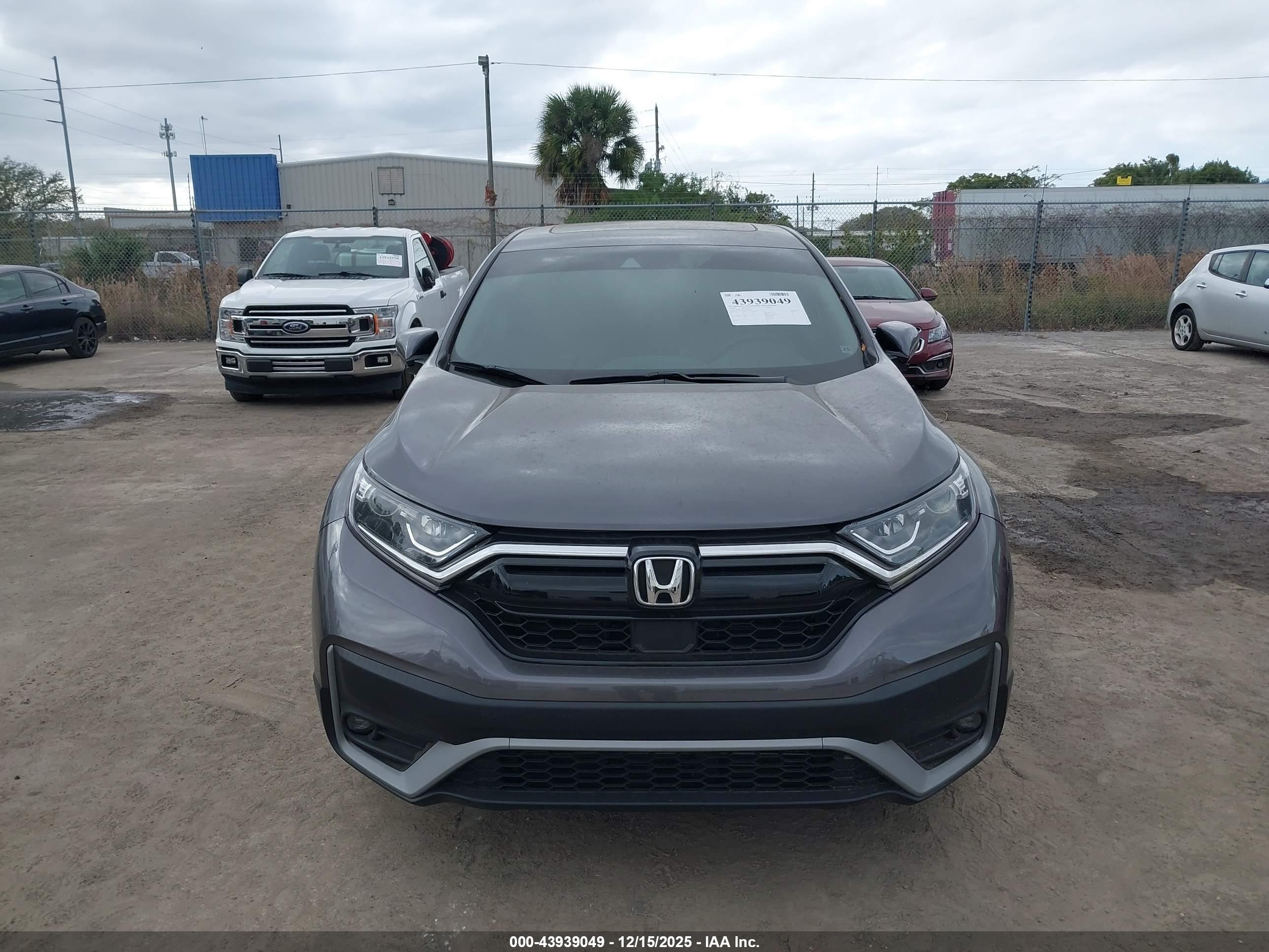 HONDA CR-V image 6