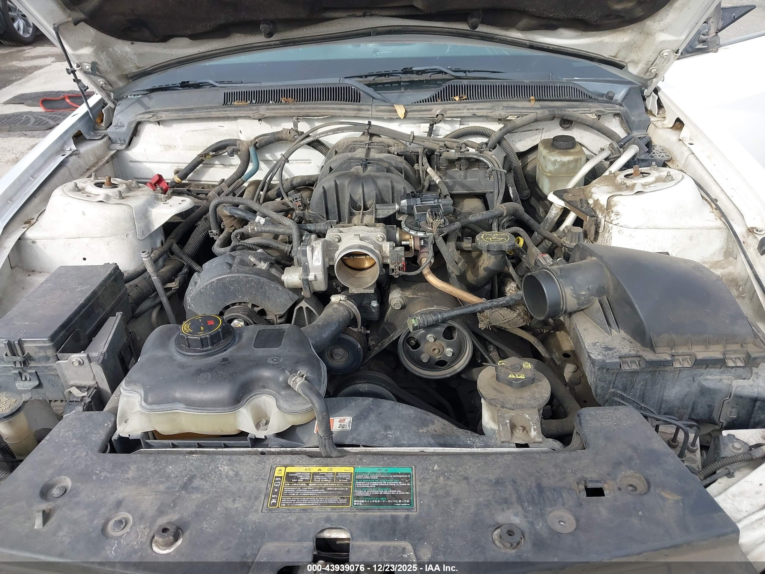 FORD MUSTANG image 10