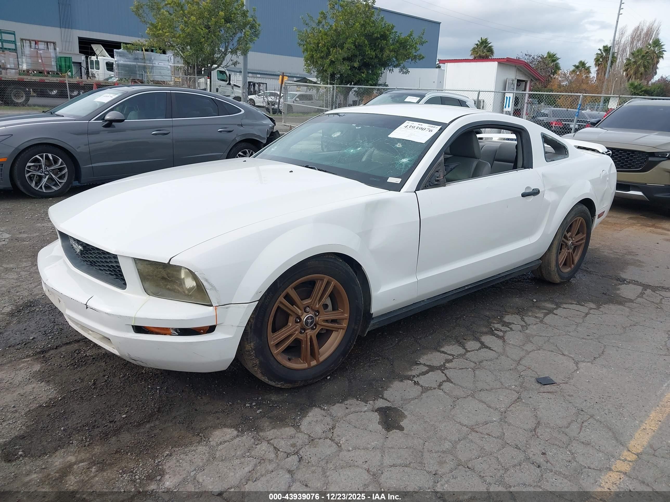 FORD MUSTANG image 2