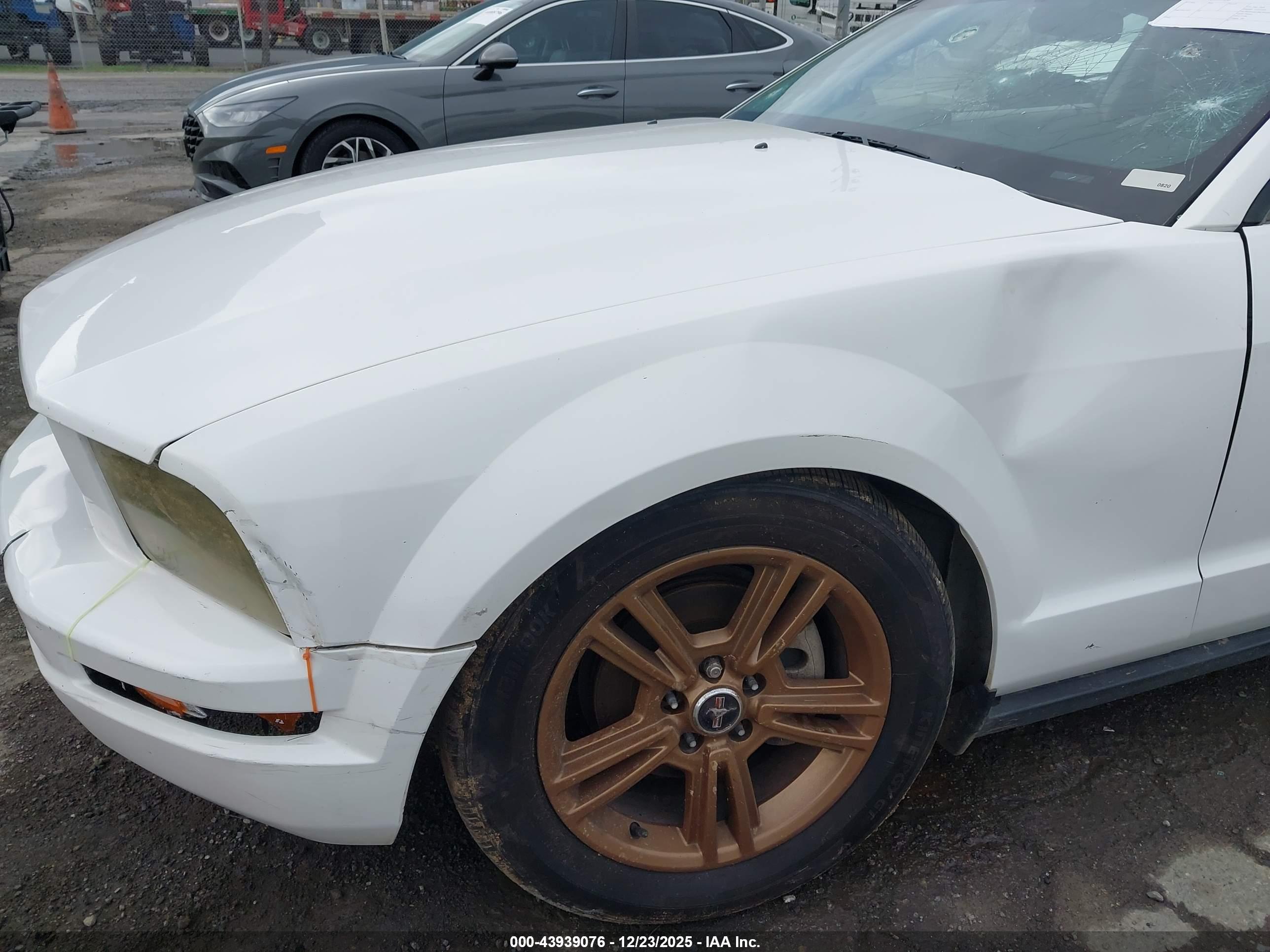 FORD MUSTANG image 6