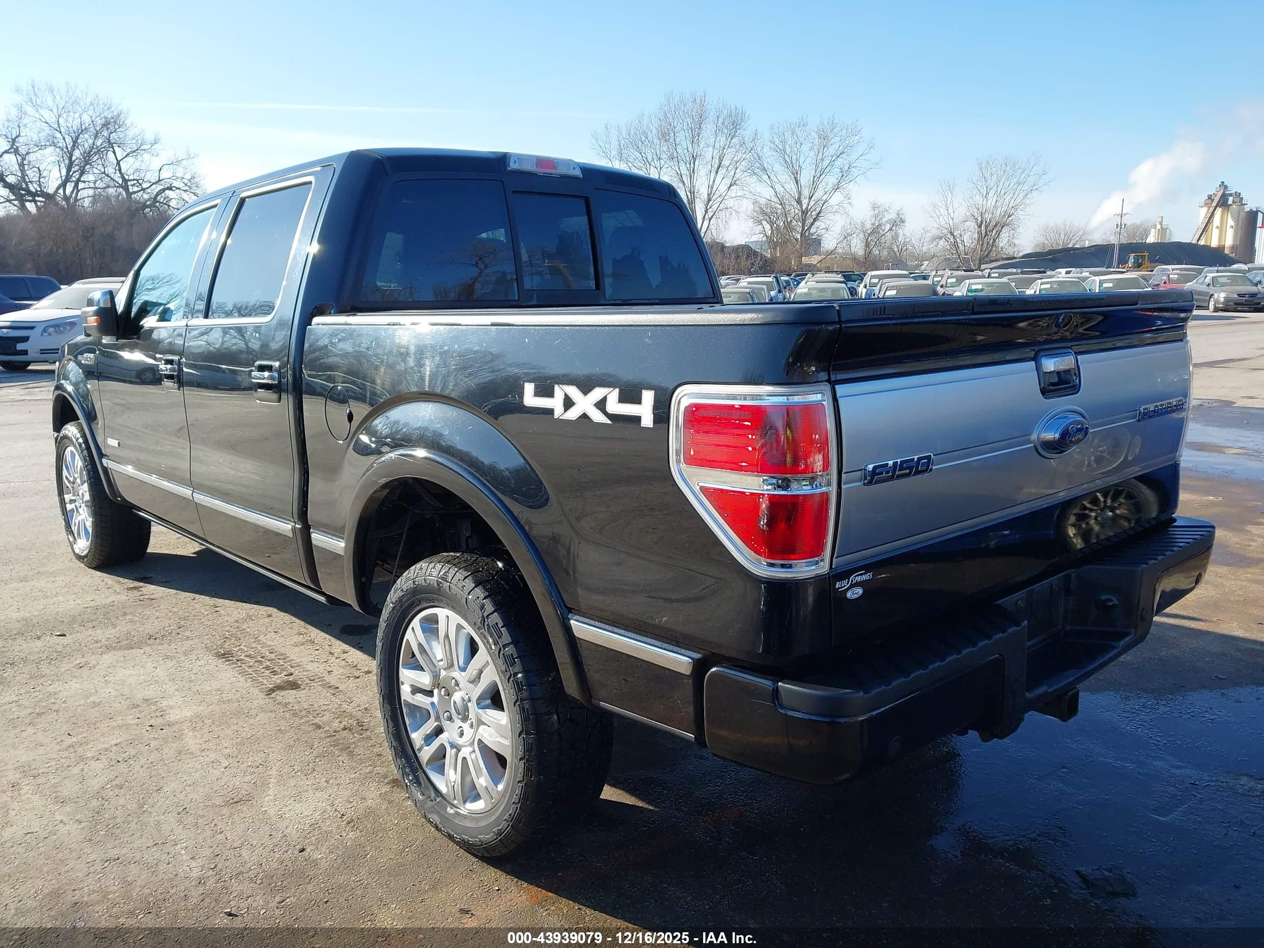 FORD F-150 image 3