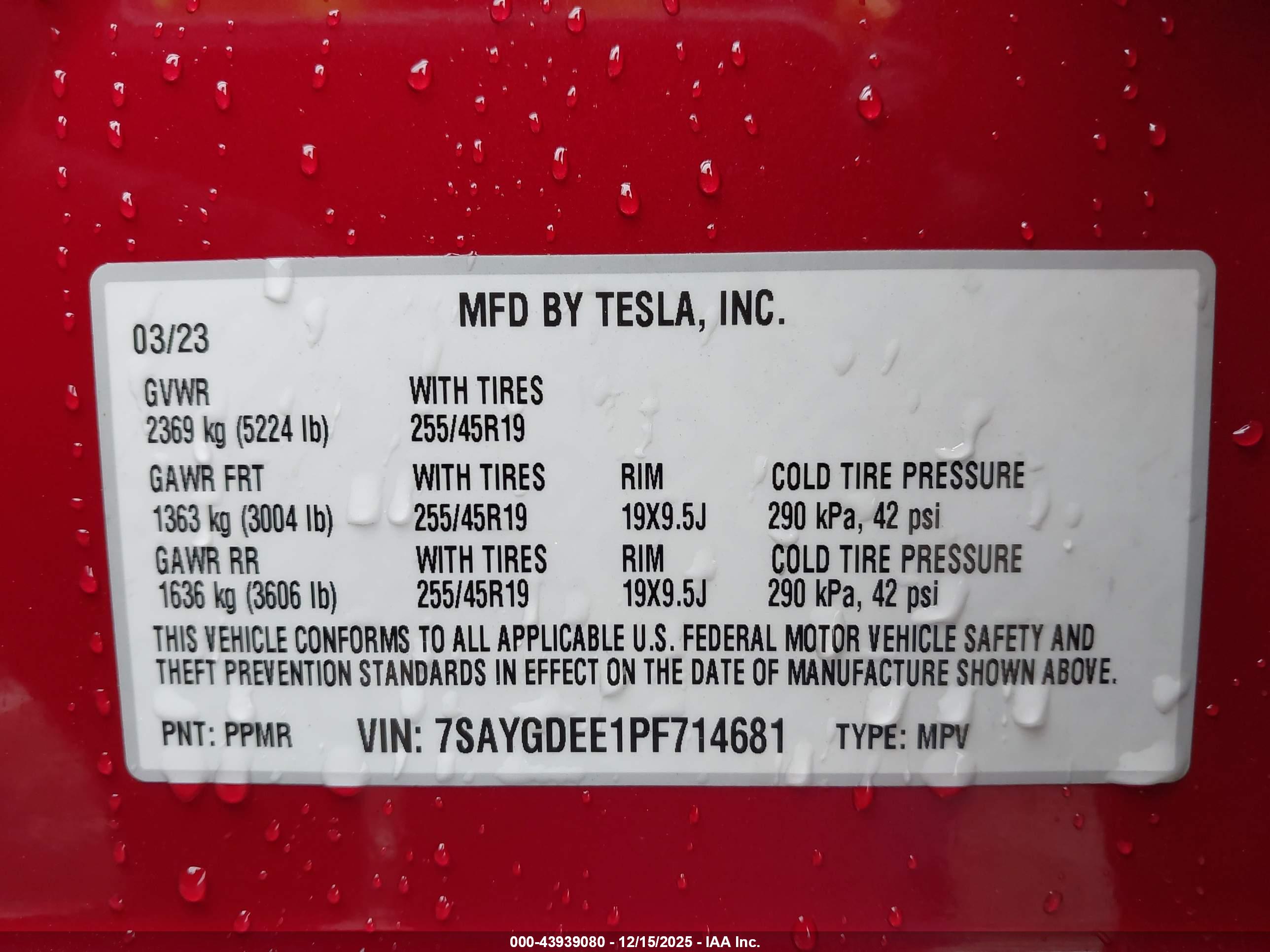 TESLA MODEL image 9
