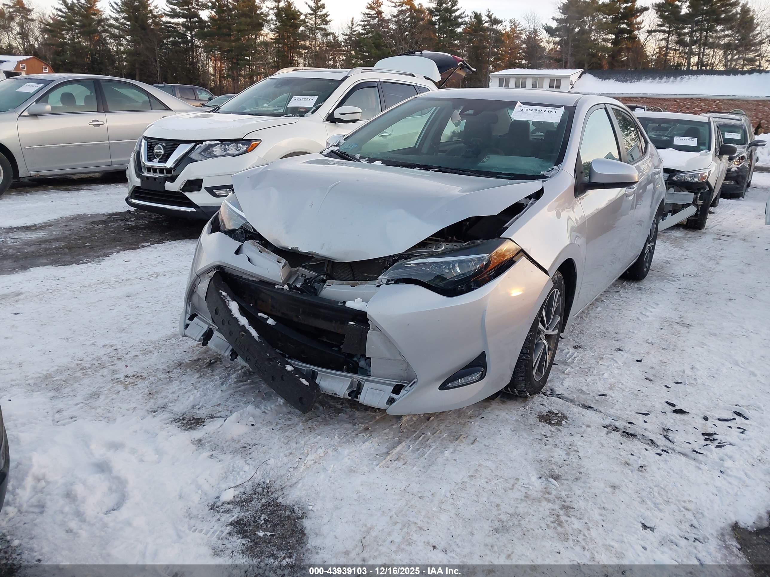 TOYOTA COROLLA image 2