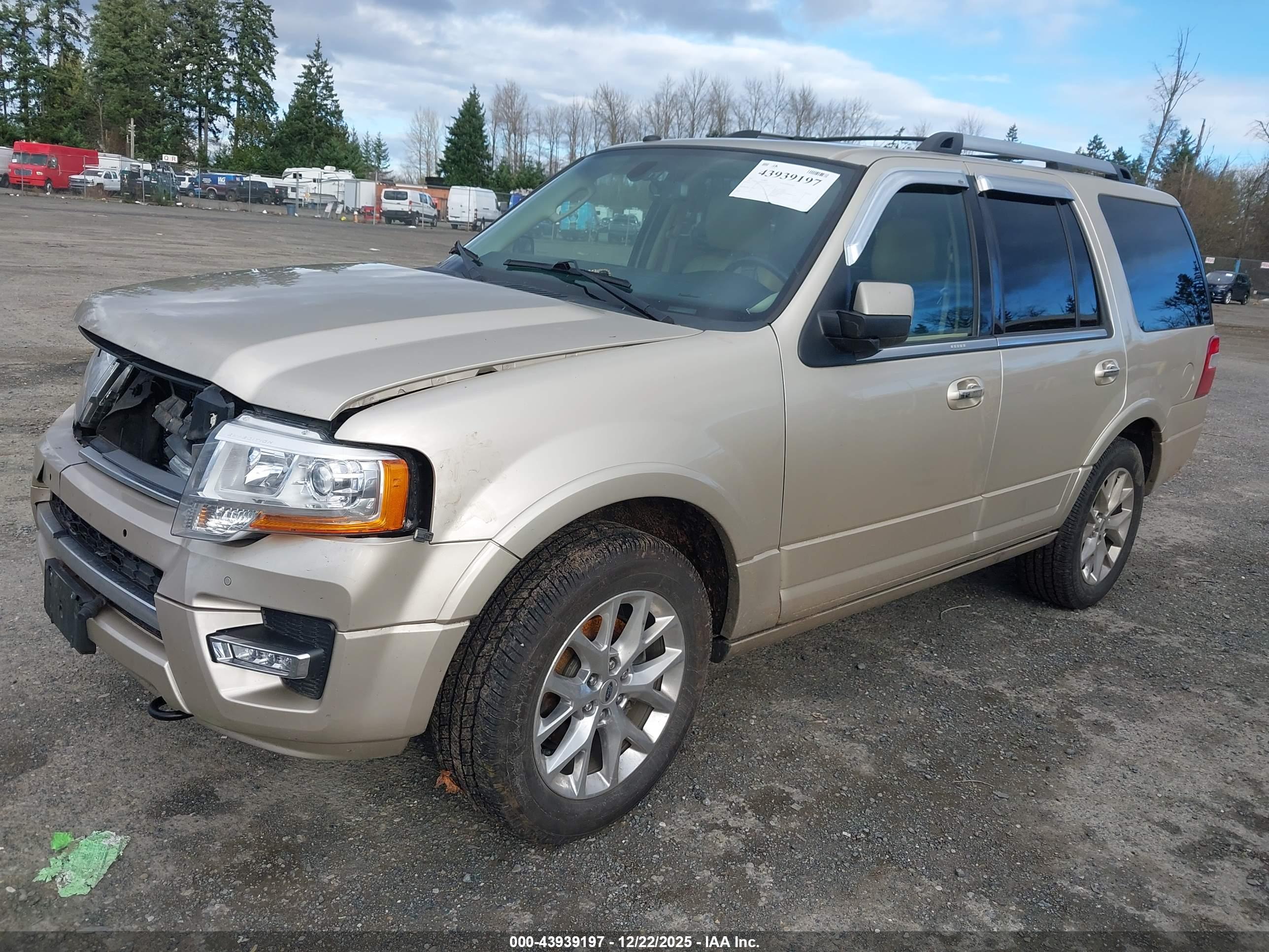 FORD EXPEDITION image 2