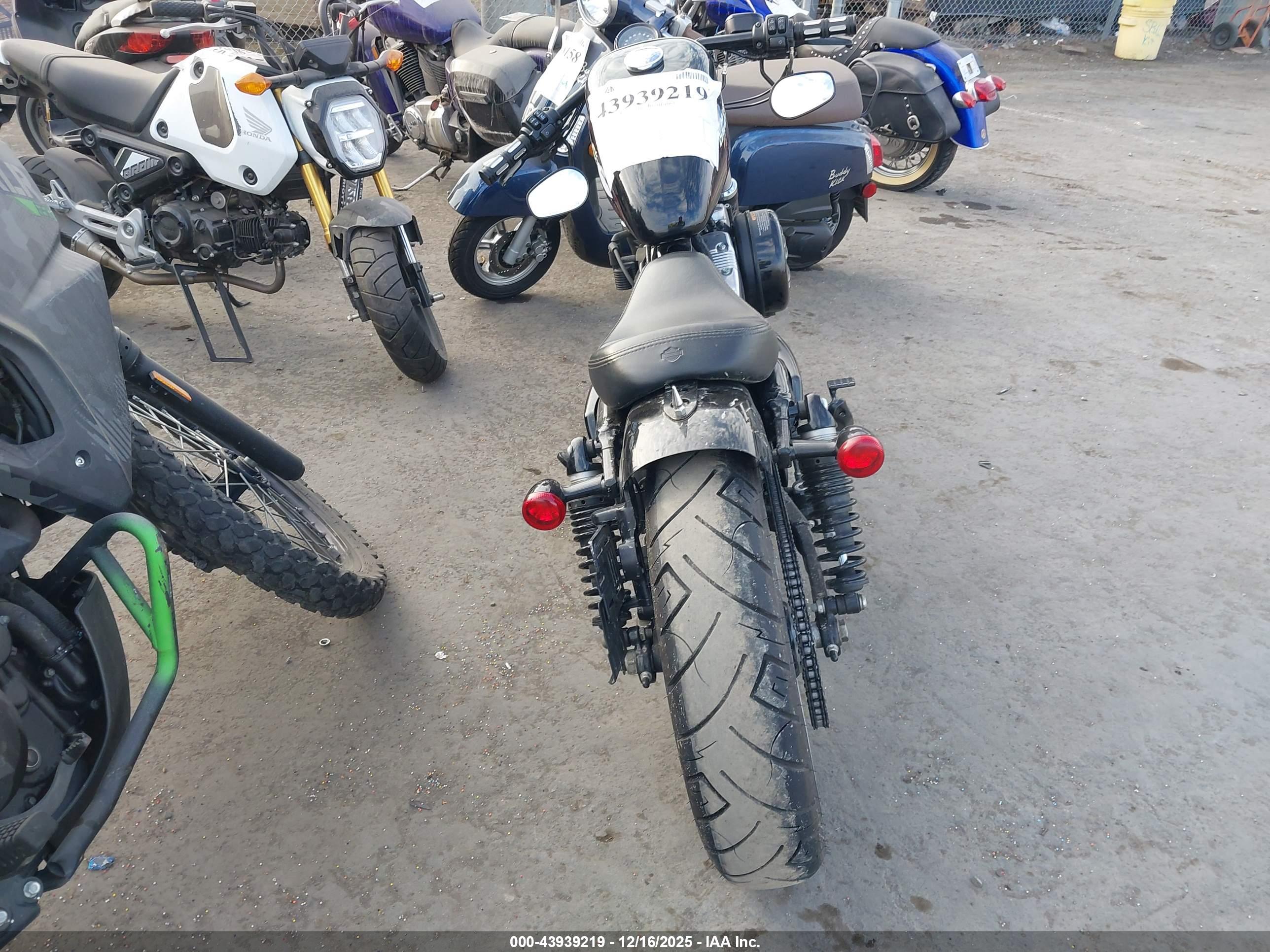 HARLEY-DAVIDSON XL1200 image 6