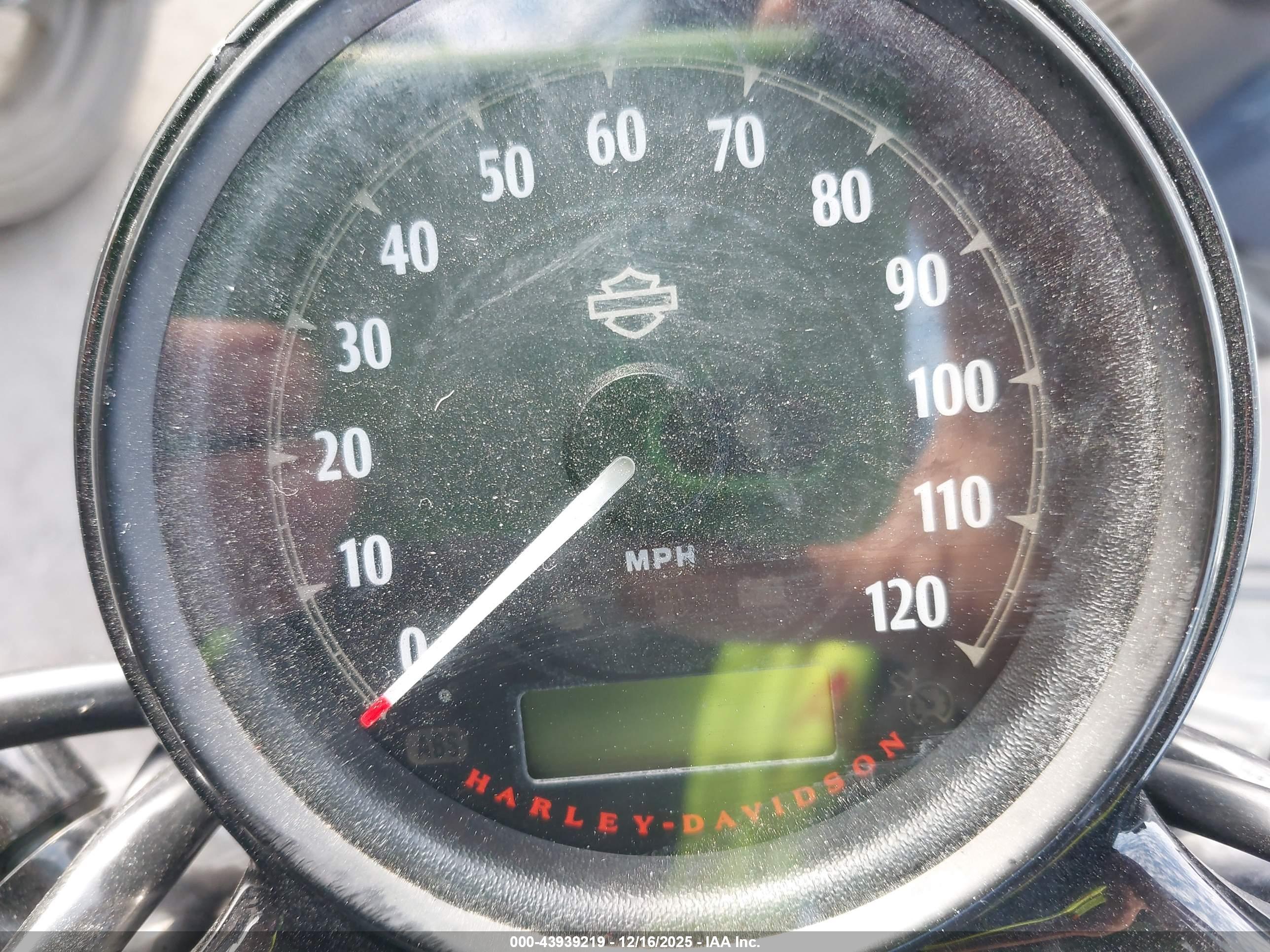 HARLEY-DAVIDSON XL1200 image 7