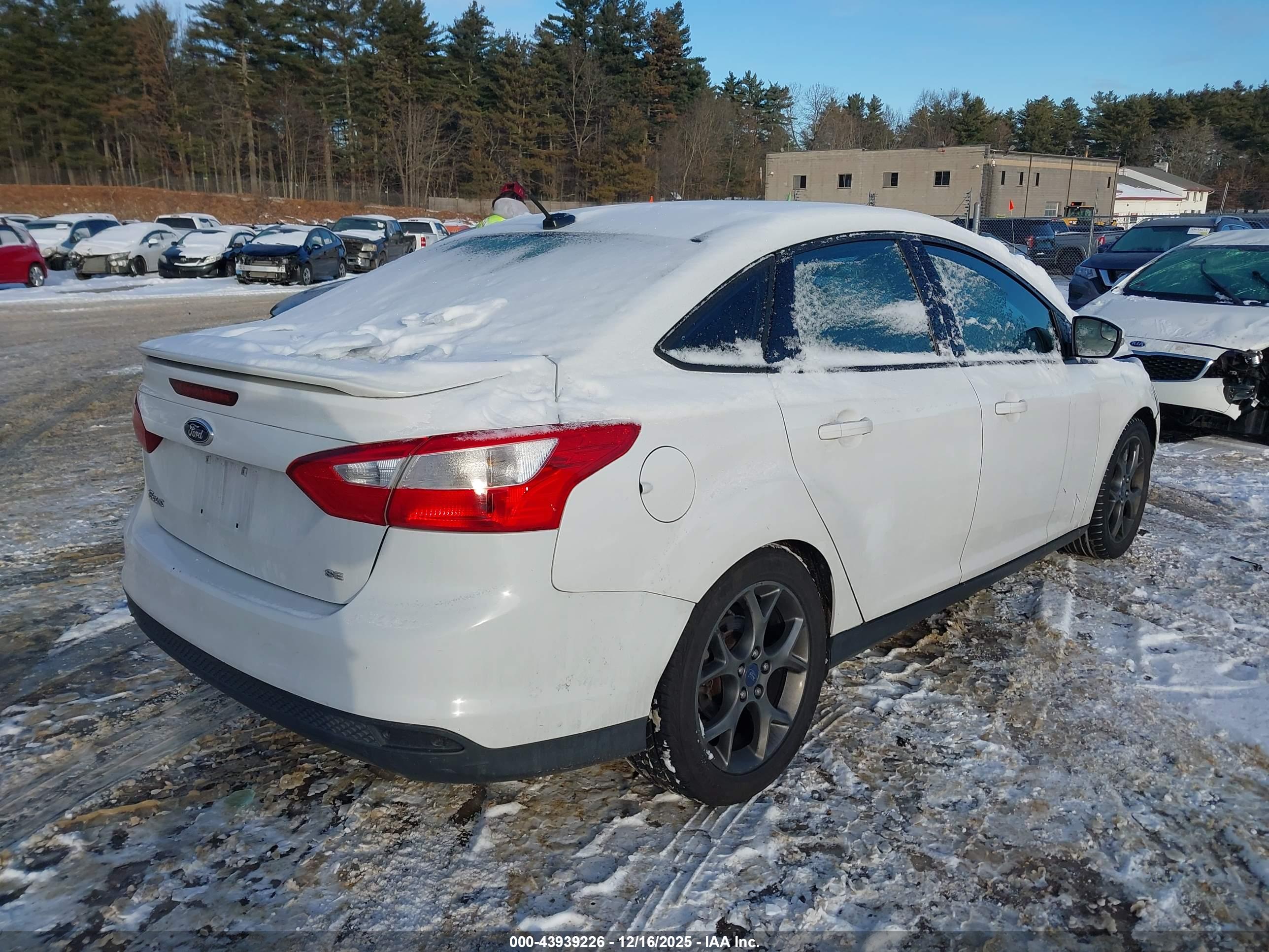 FORD FOCUS image 4
