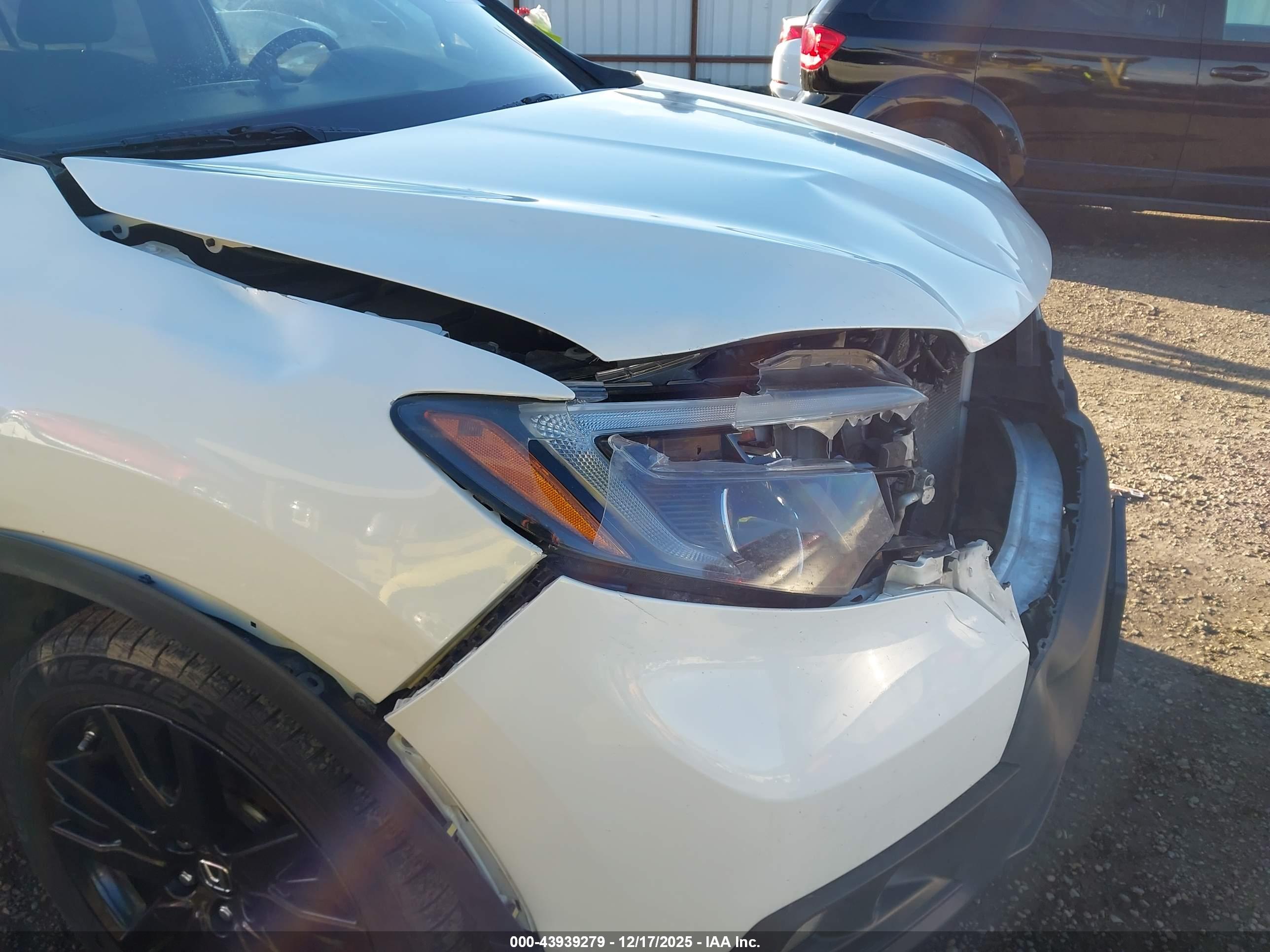 HONDA PASSPORT image 6