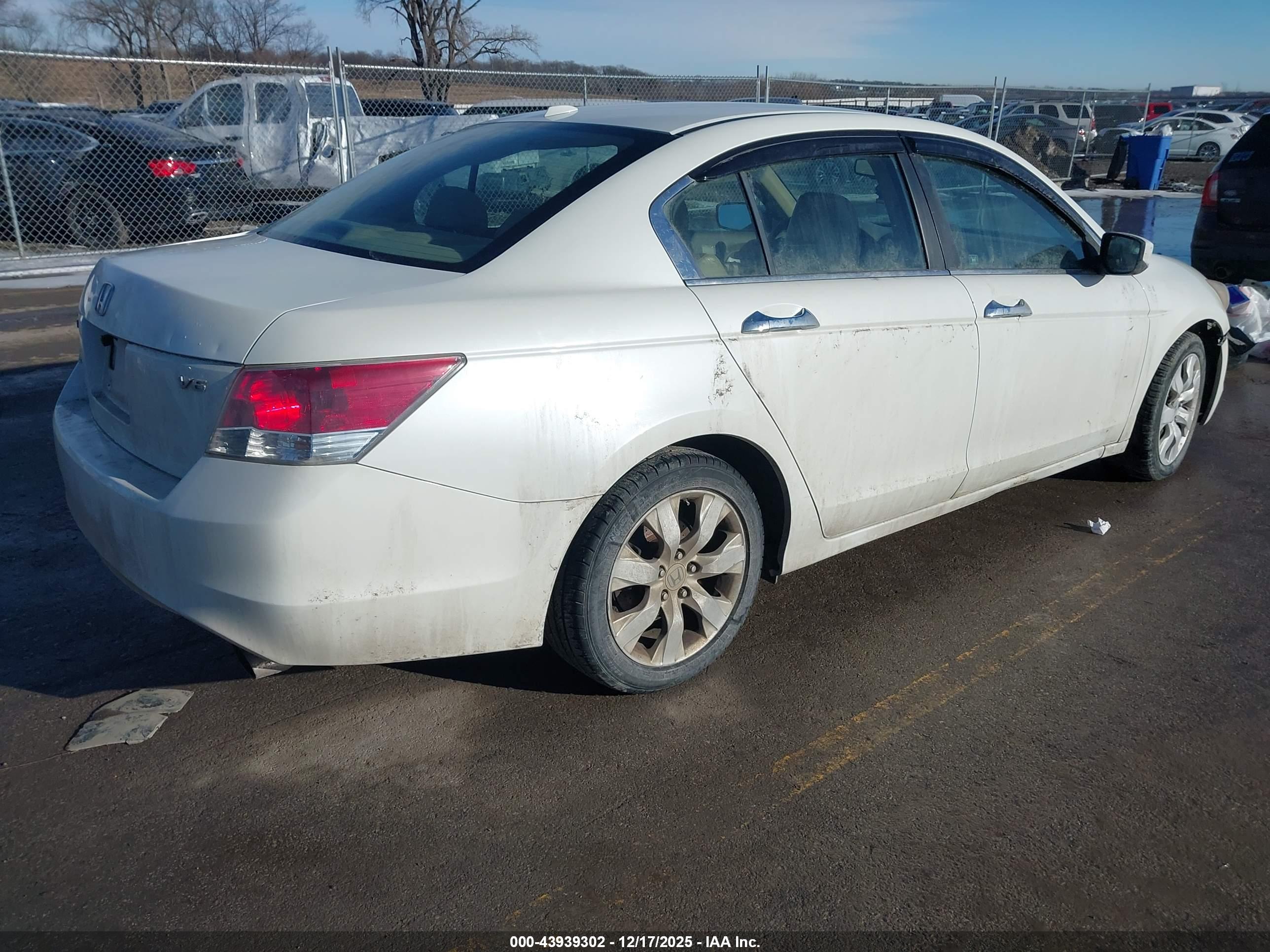HONDA ACCORD image 4