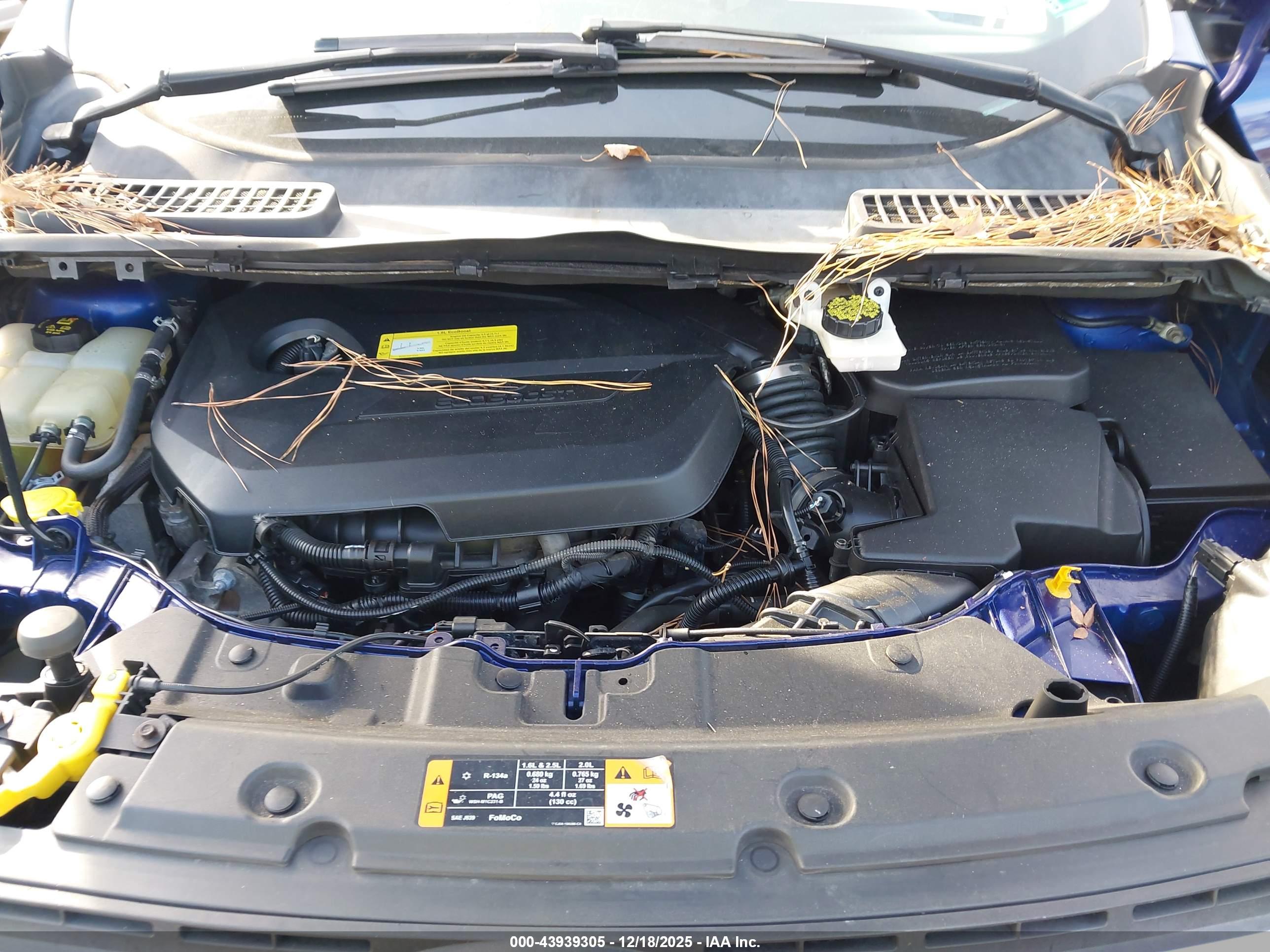 FORD ESCAPE image 10