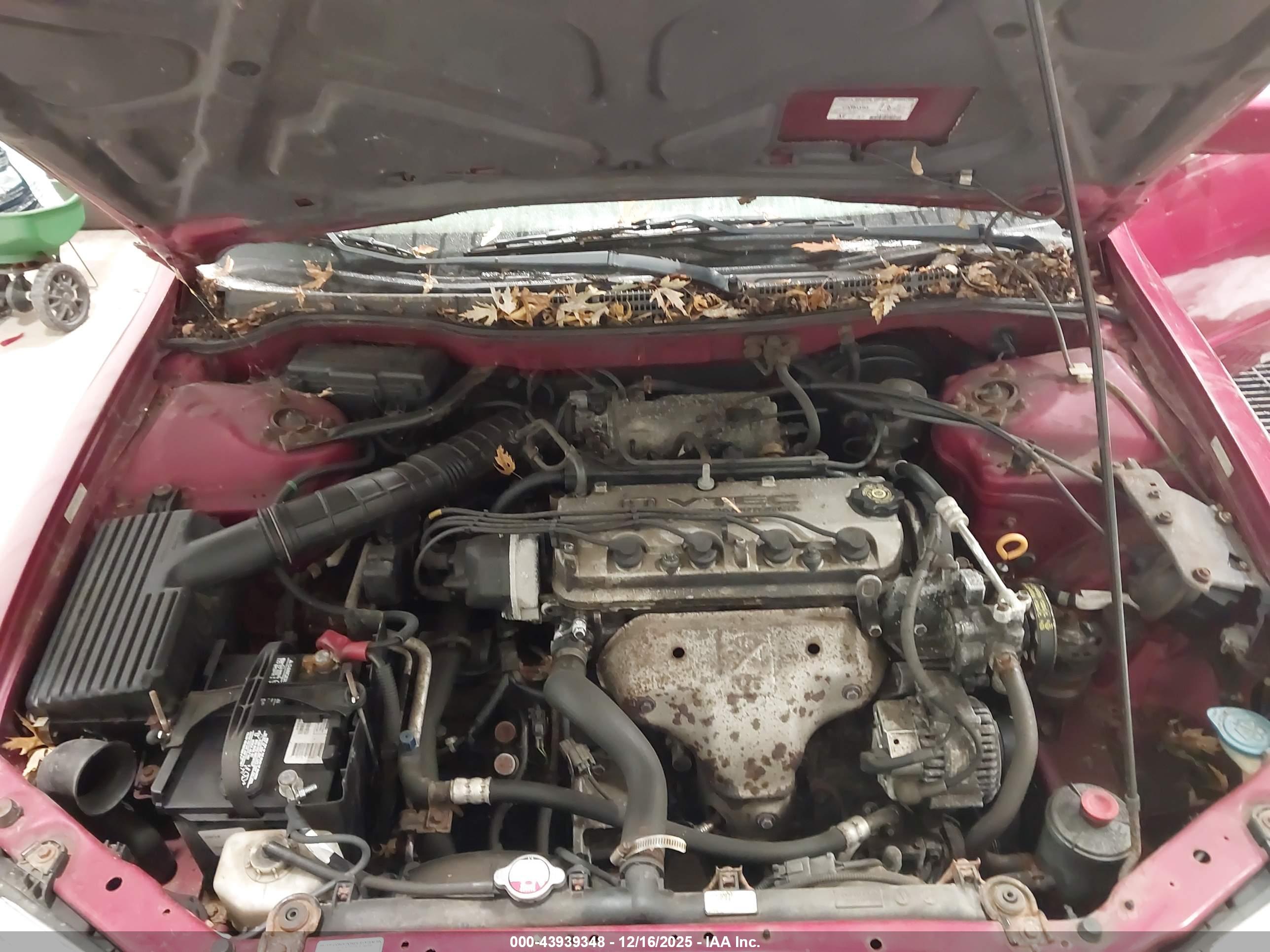 HONDA ACCORD image 10