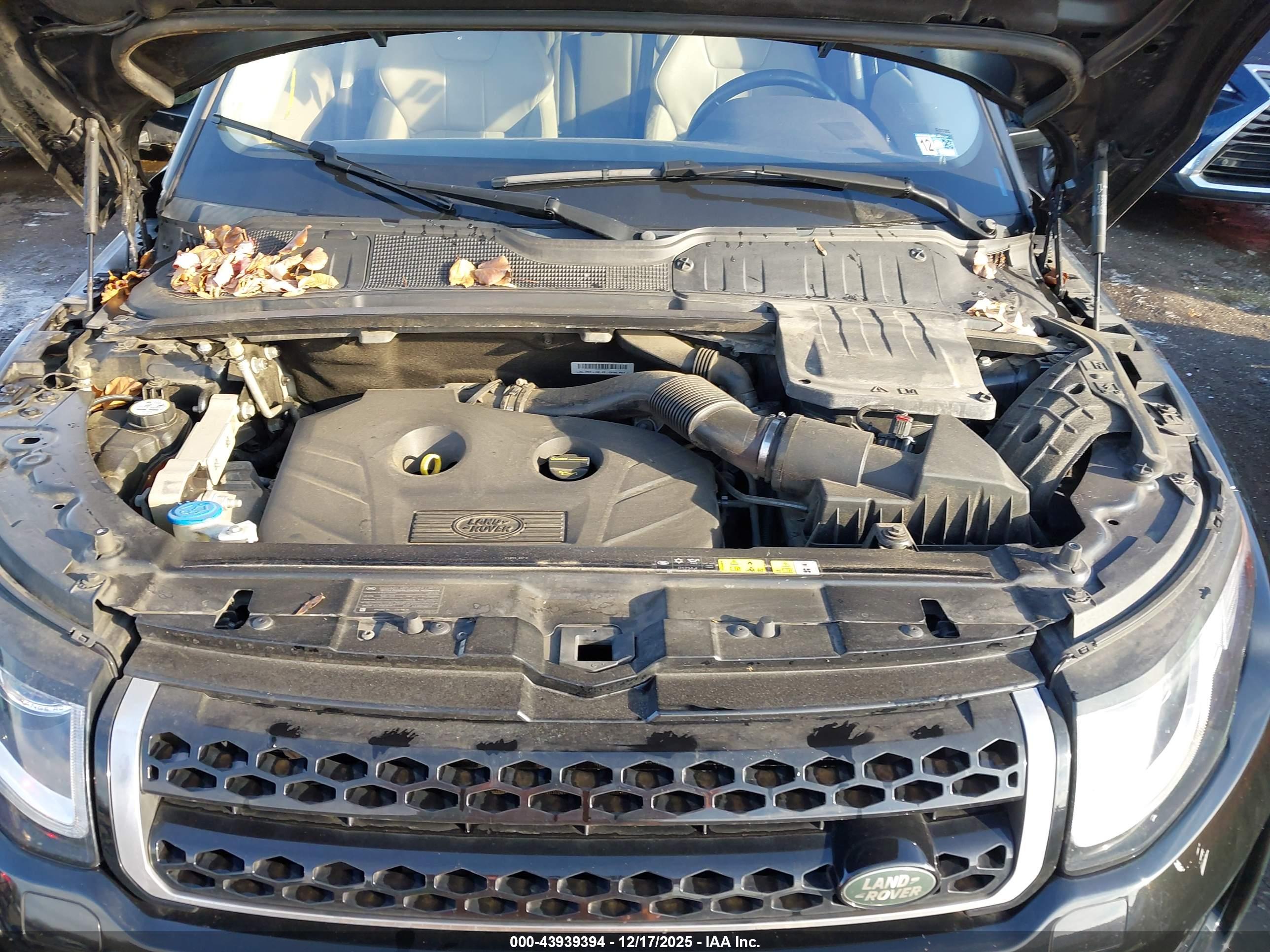 LAND ROVER image 10