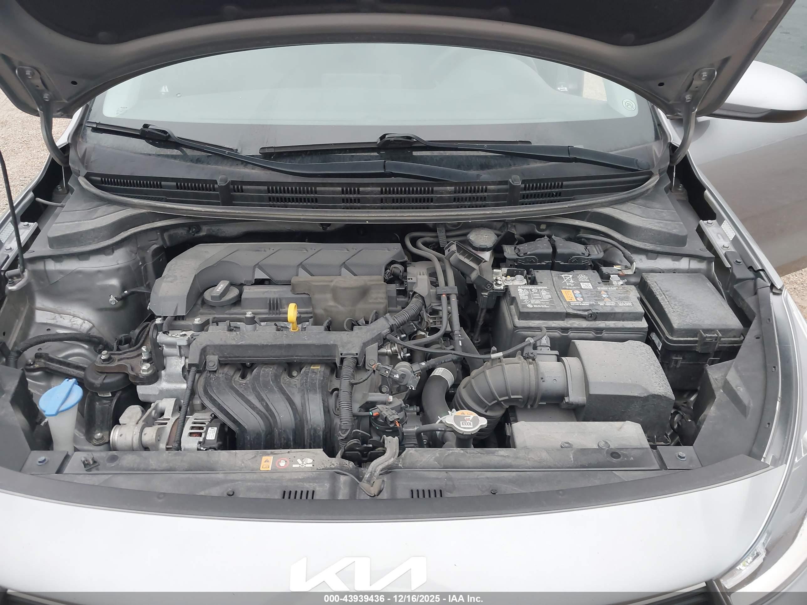KIA RIO image 10