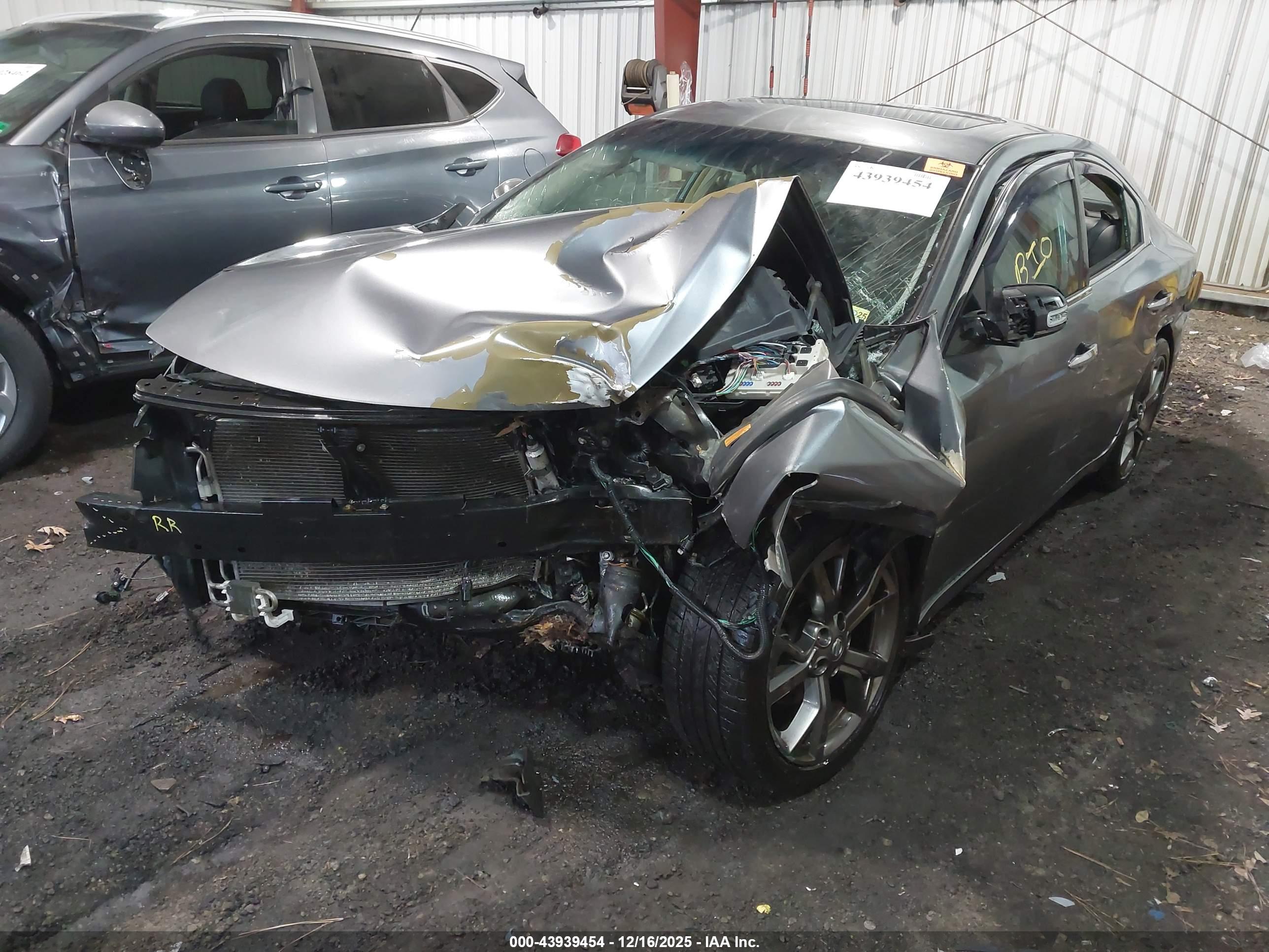 NISSAN MAXIMA image 2