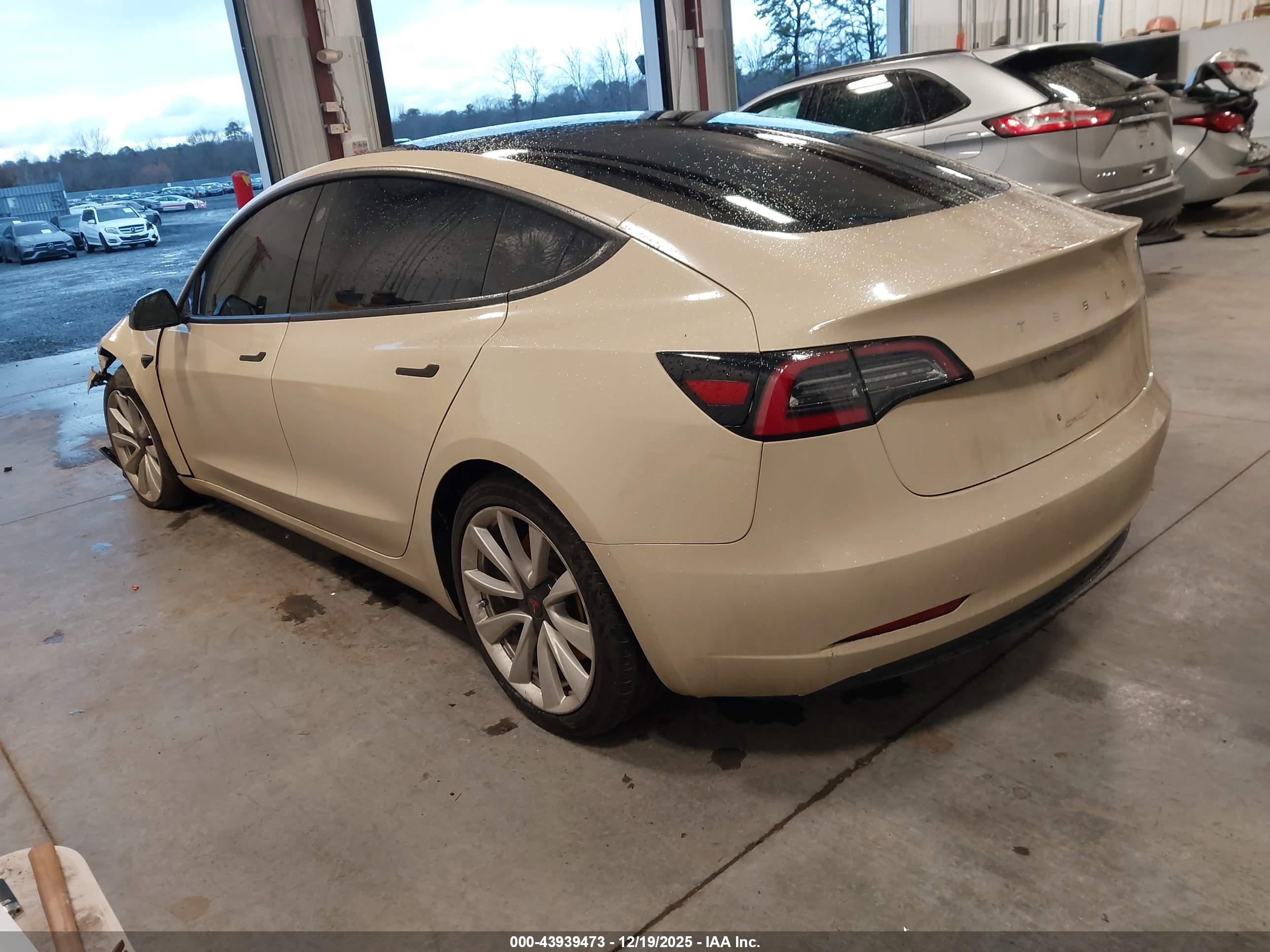 TESLA MODEL image 3