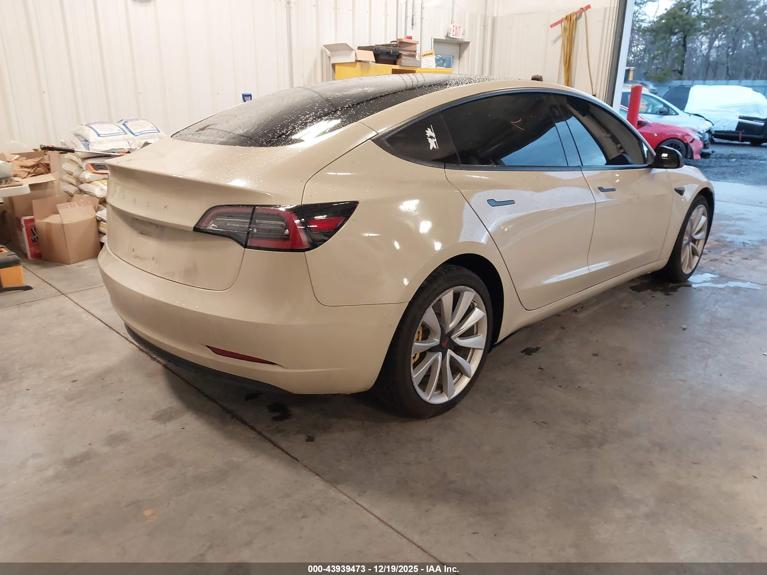 TESLA MODEL image 4