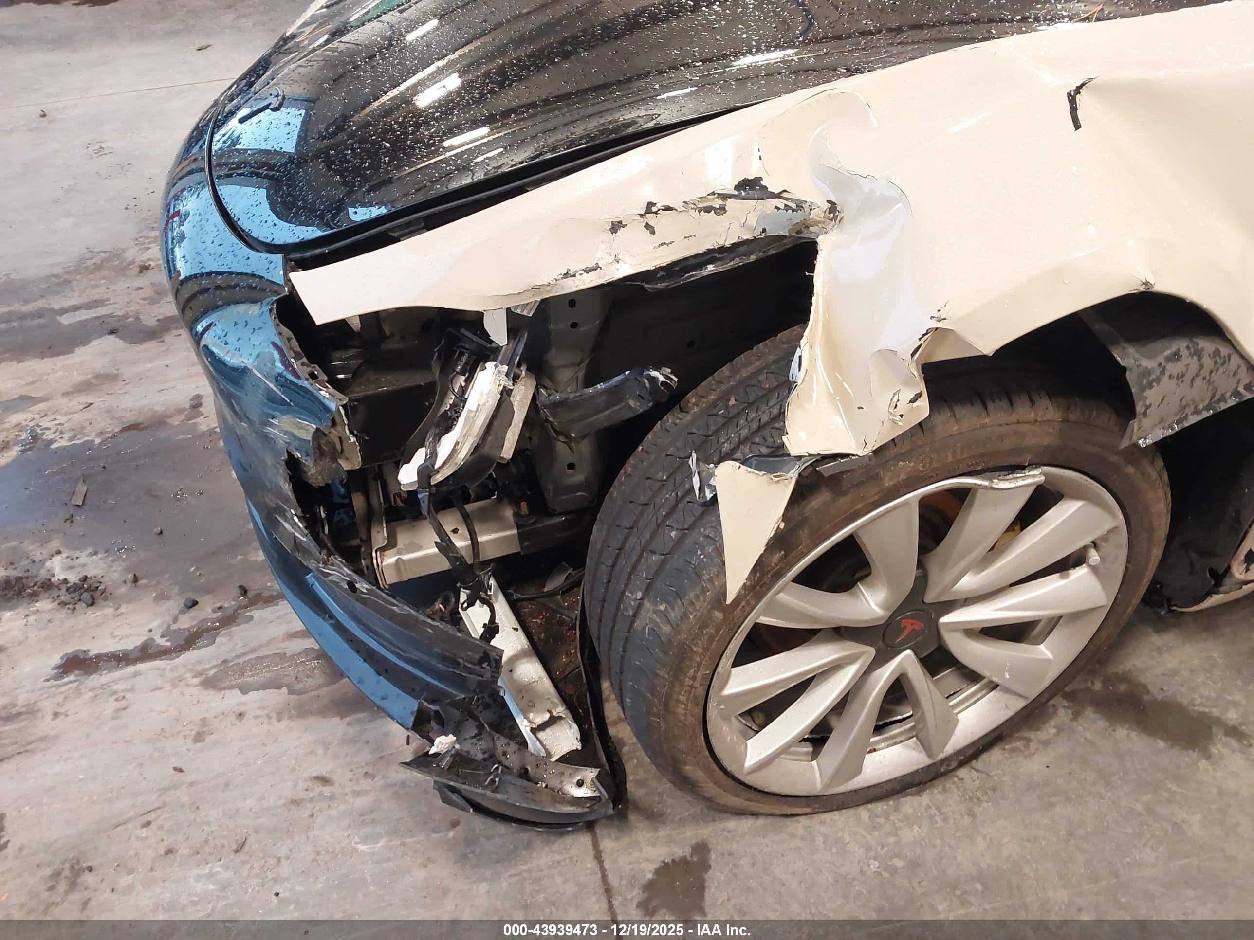 TESLA MODEL image 6