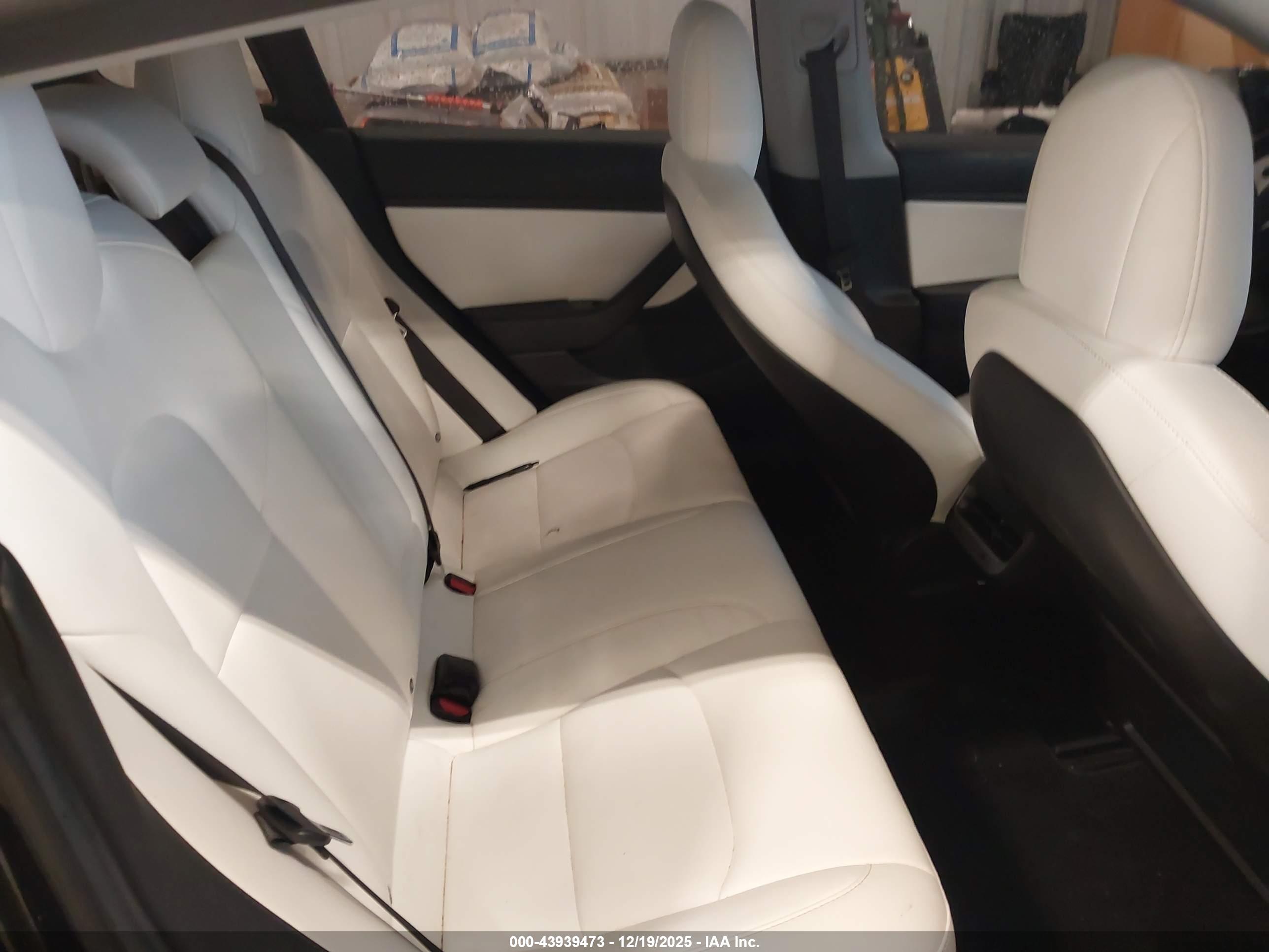 TESLA MODEL image 8