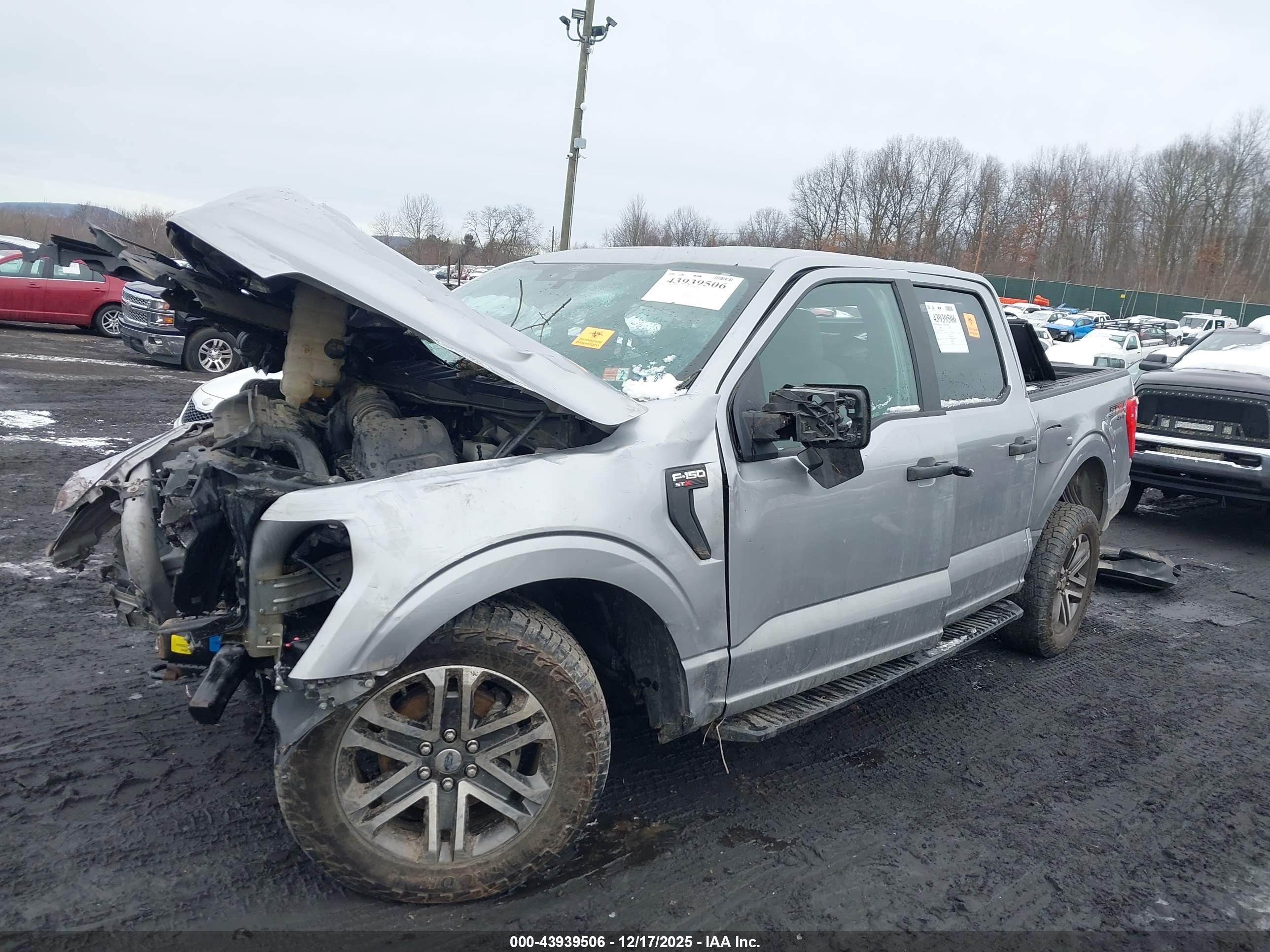 FORD F-150 image 2
