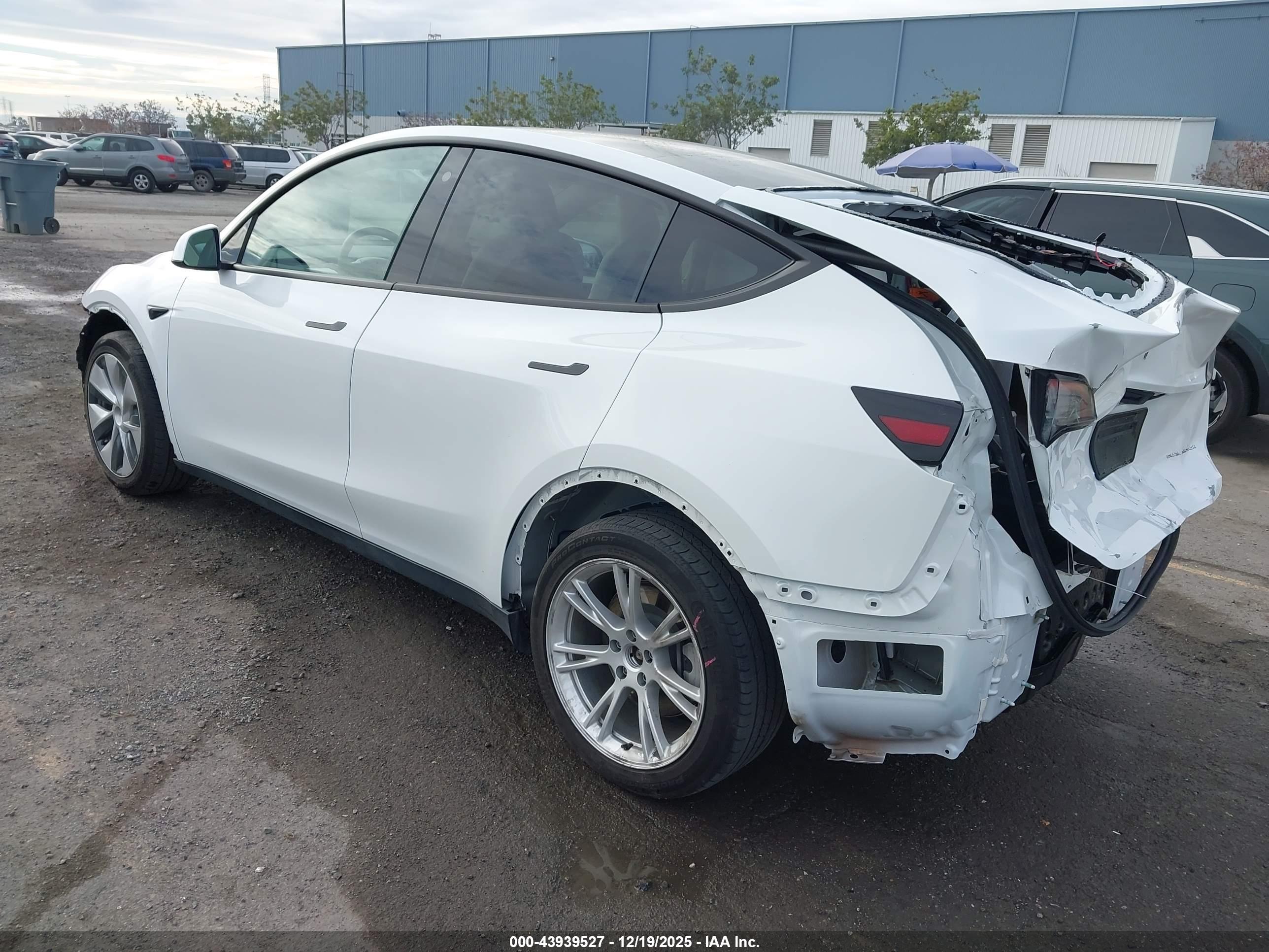 TESLA MODEL image 3