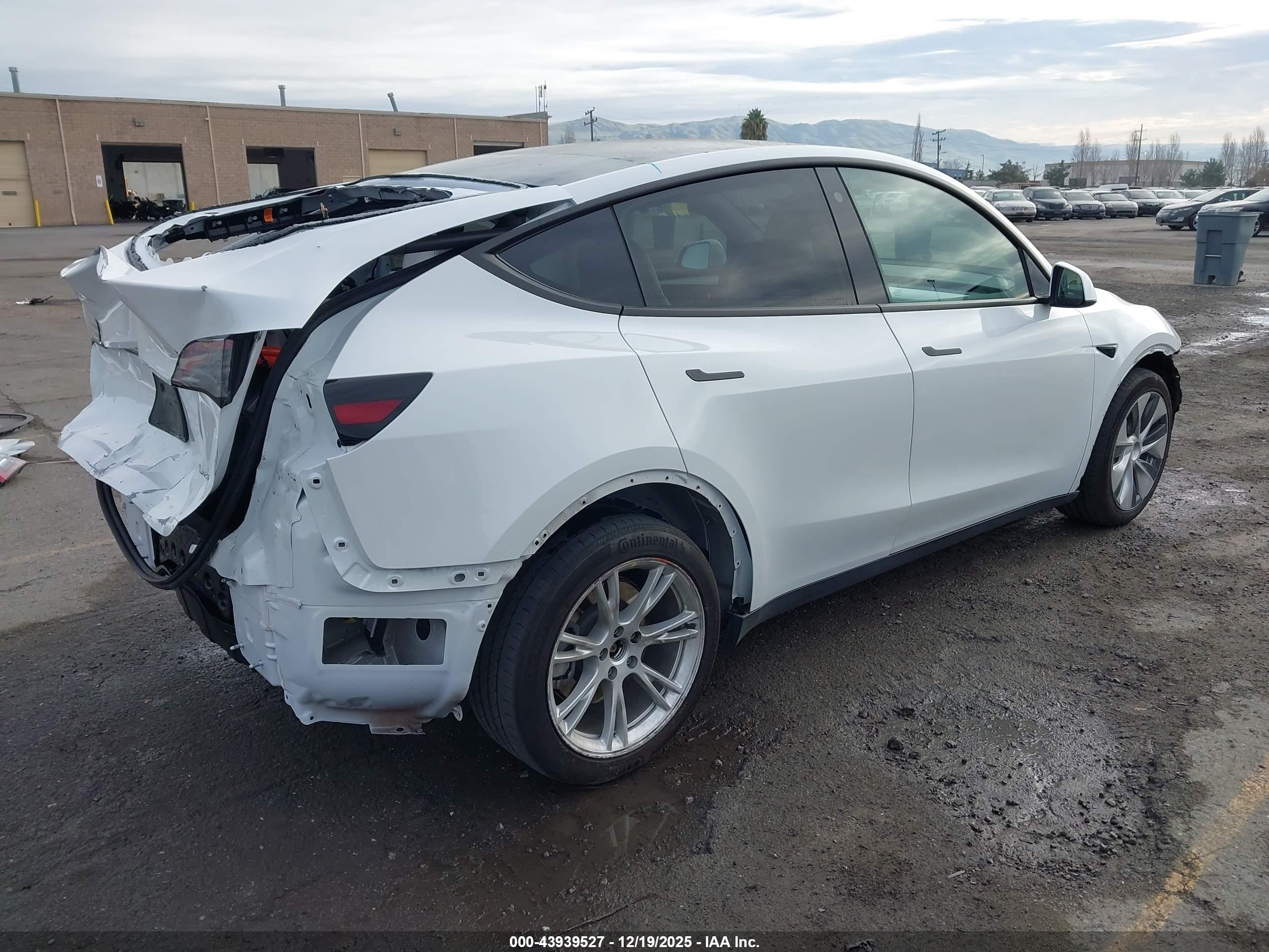 TESLA MODEL image 4