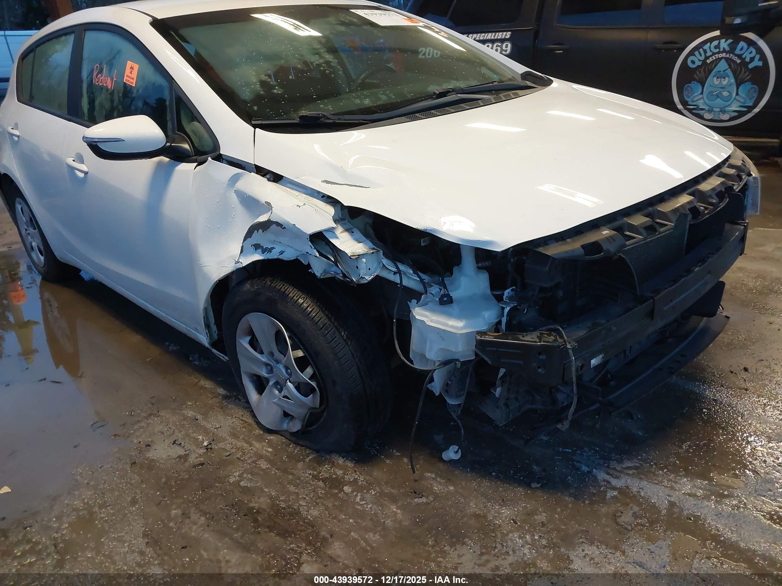 KIA FORTE image 6