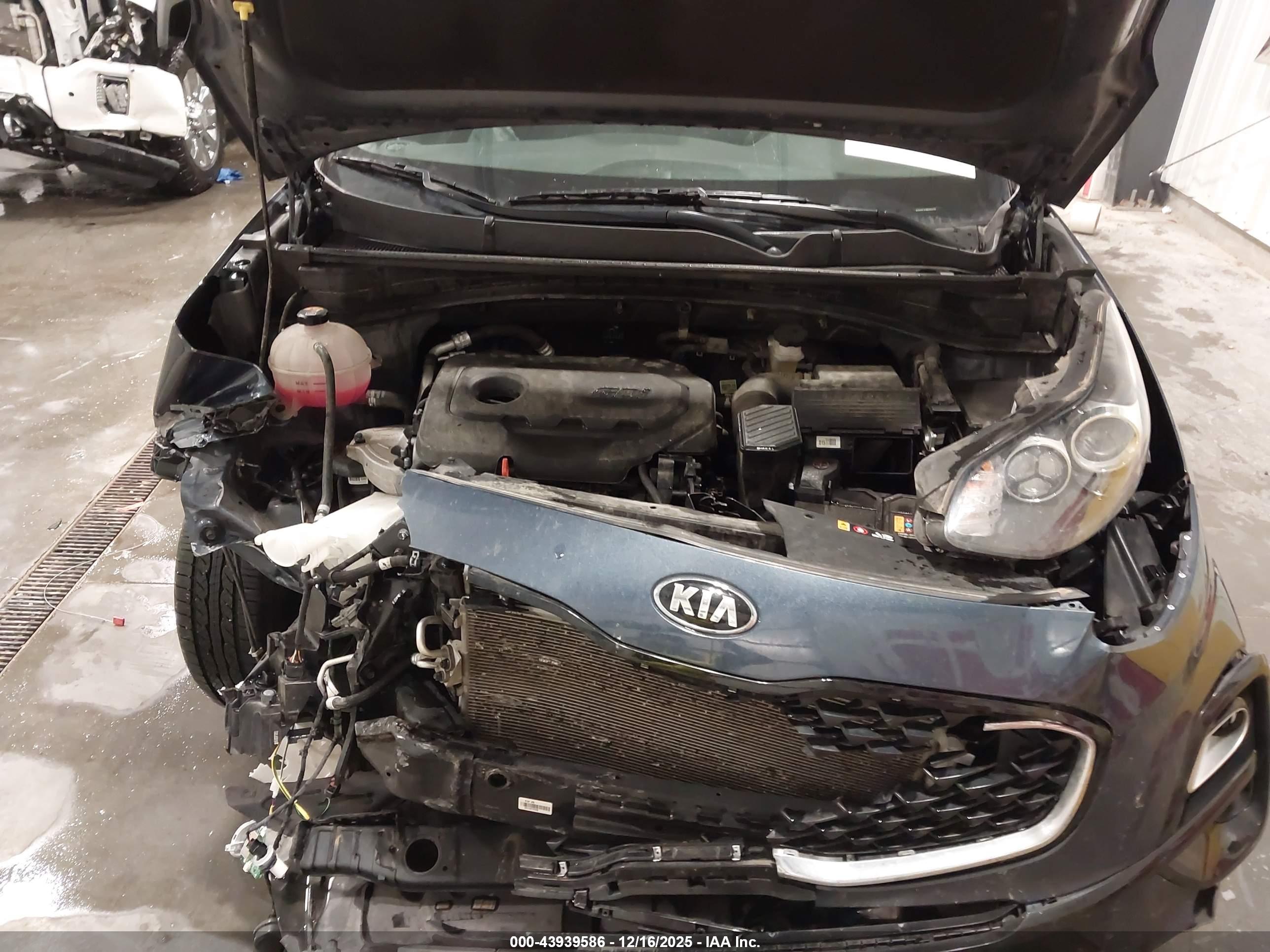 KIA SPORTAGE image 10