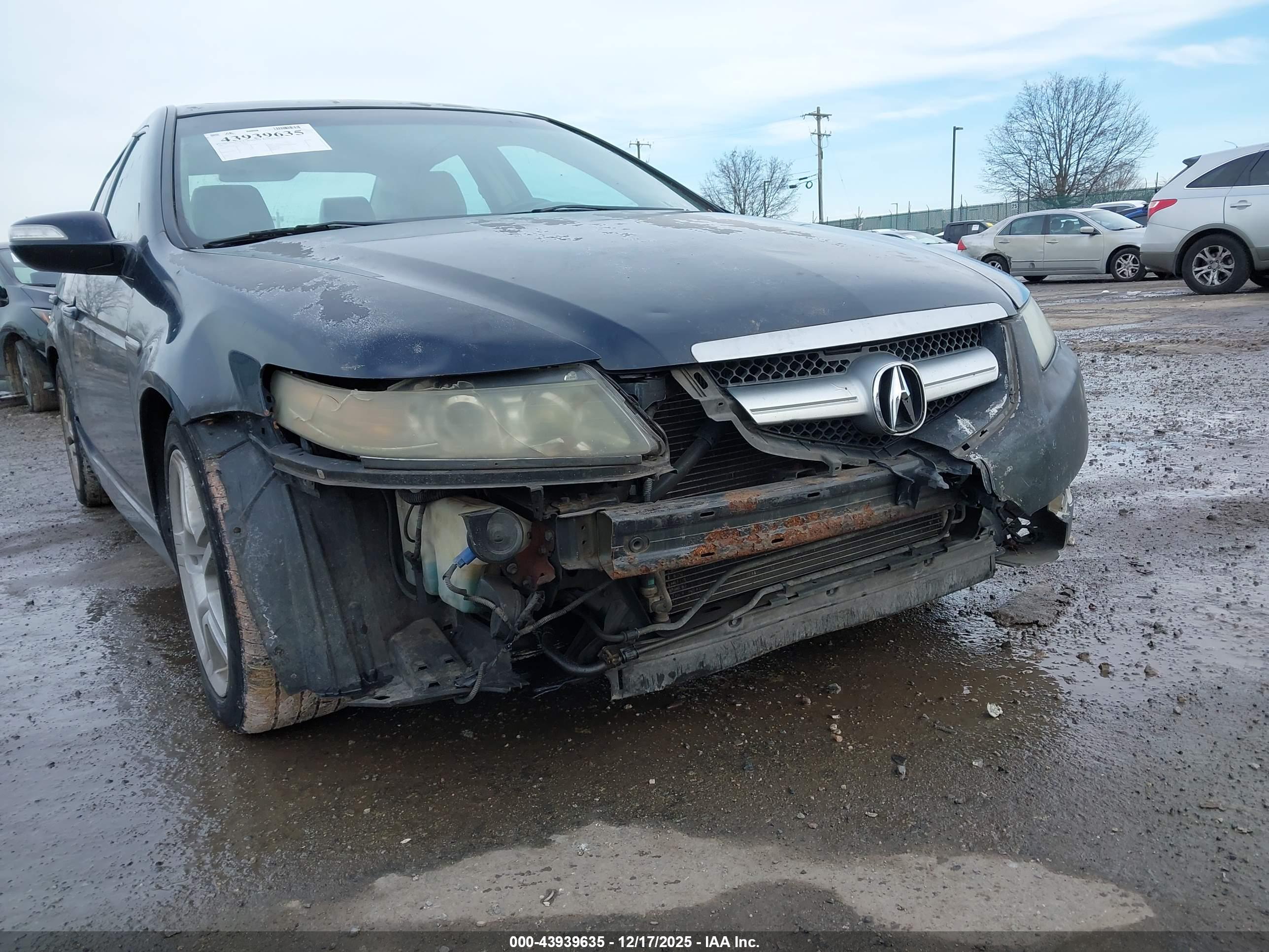 ACURA TL image 6