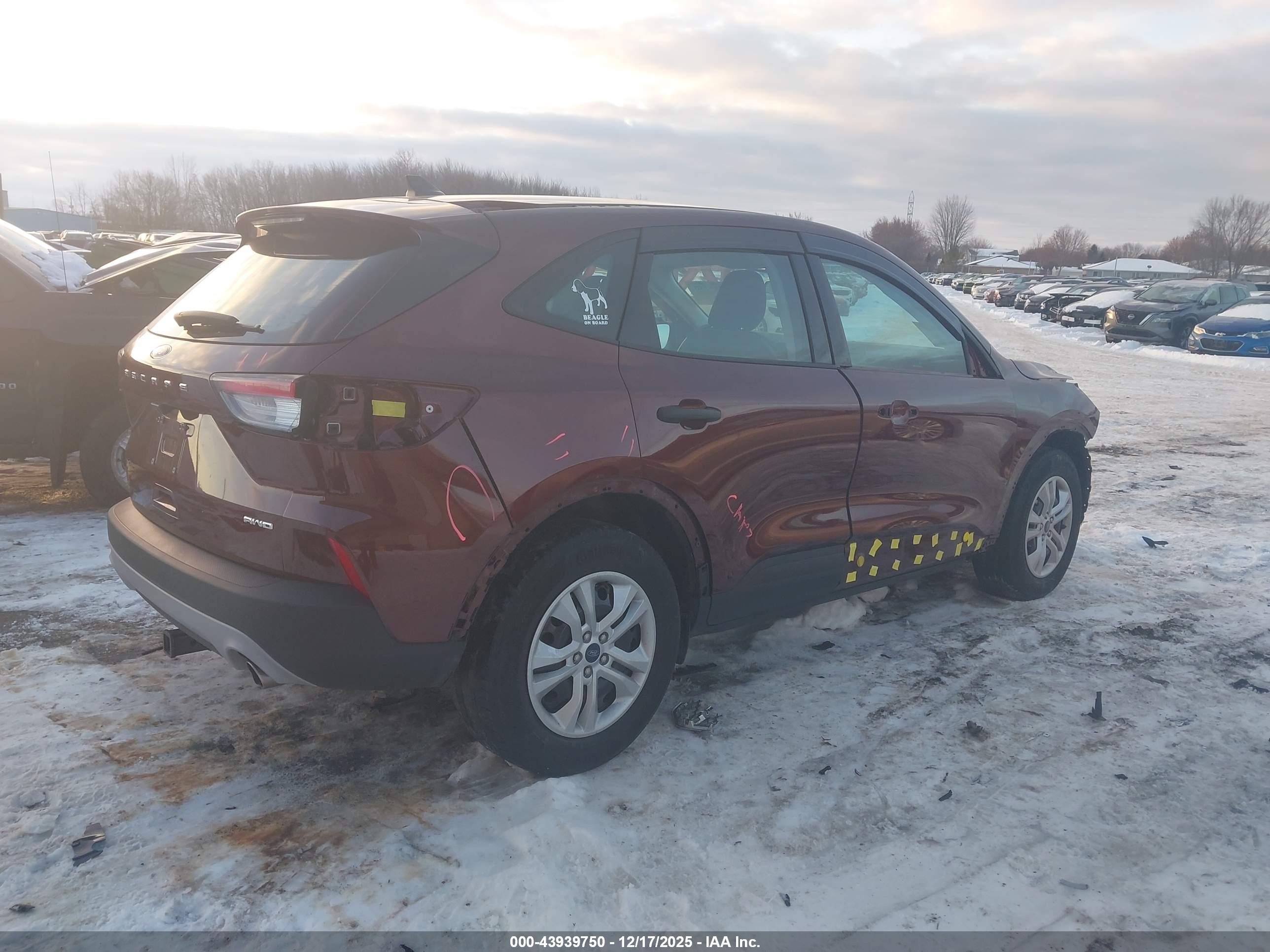 FORD ESCAPE image 4