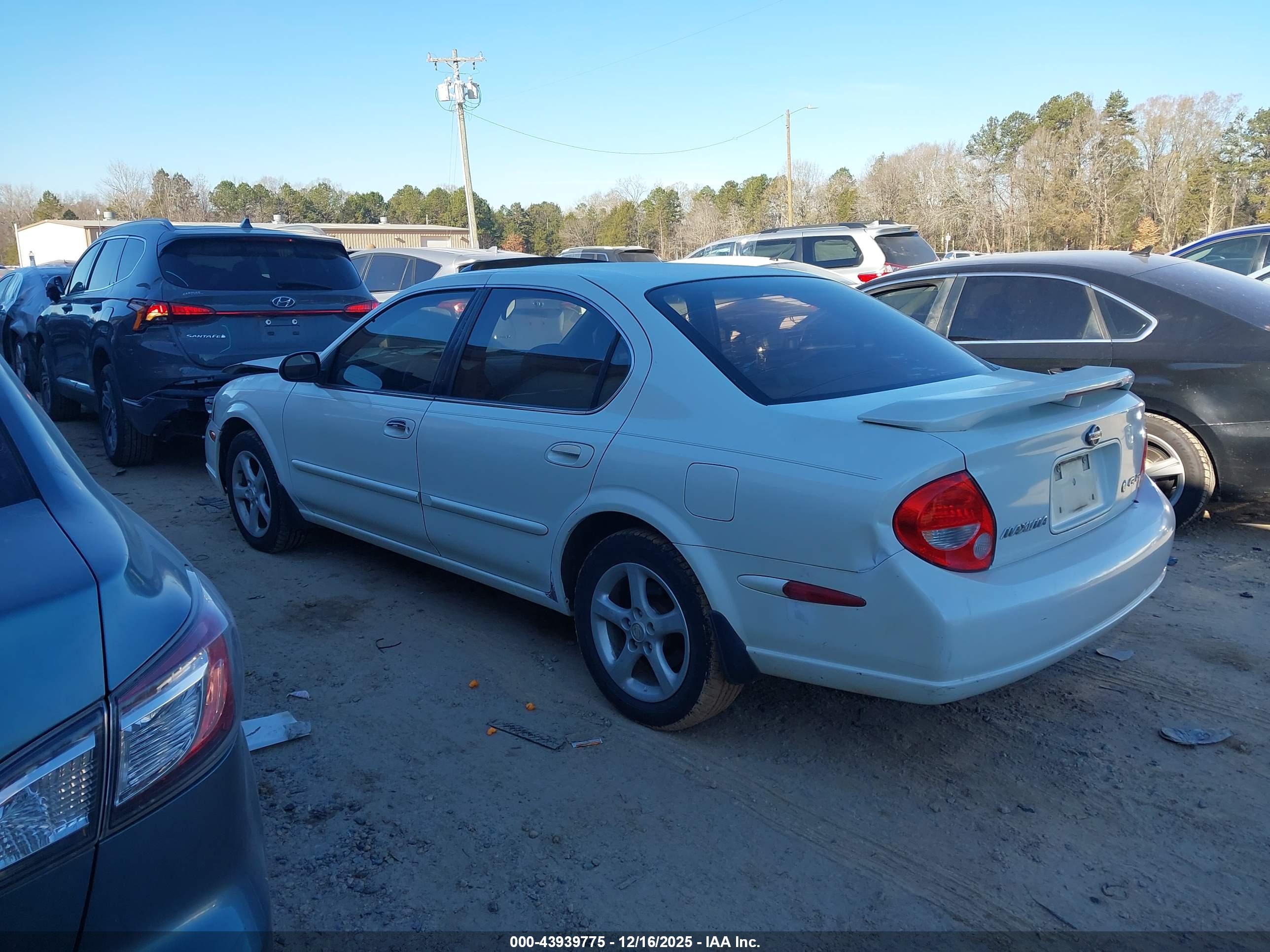 NISSAN MAXIMA image 3