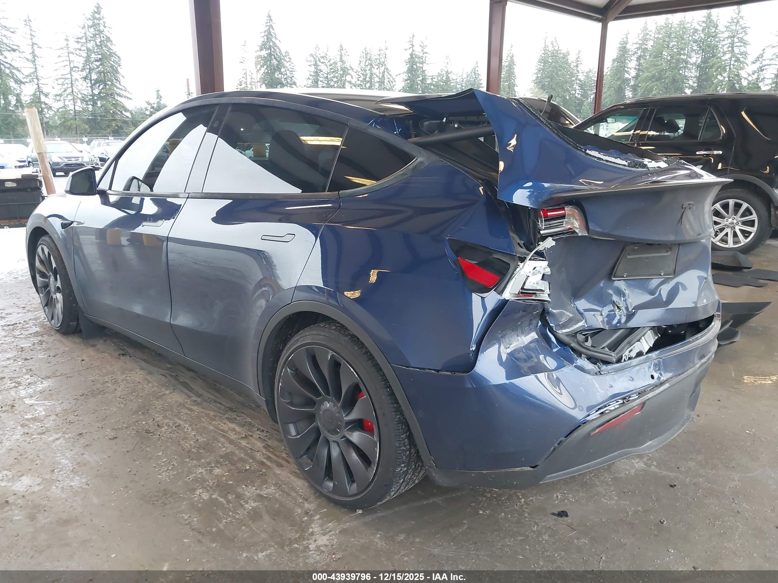 TESLA MODEL image 3